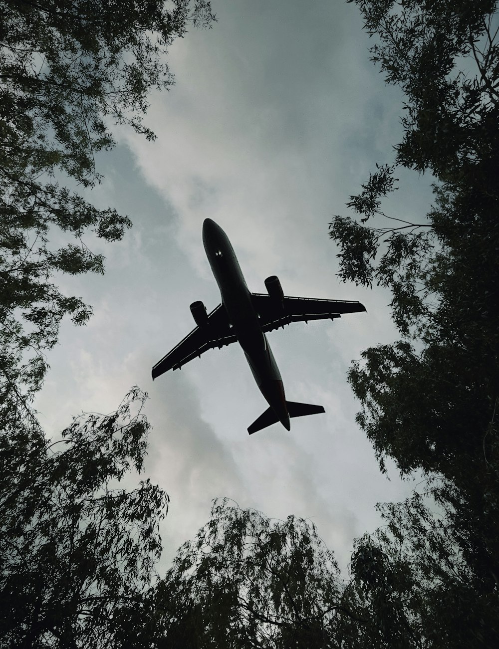 an airplane is flying through the sky above the trees