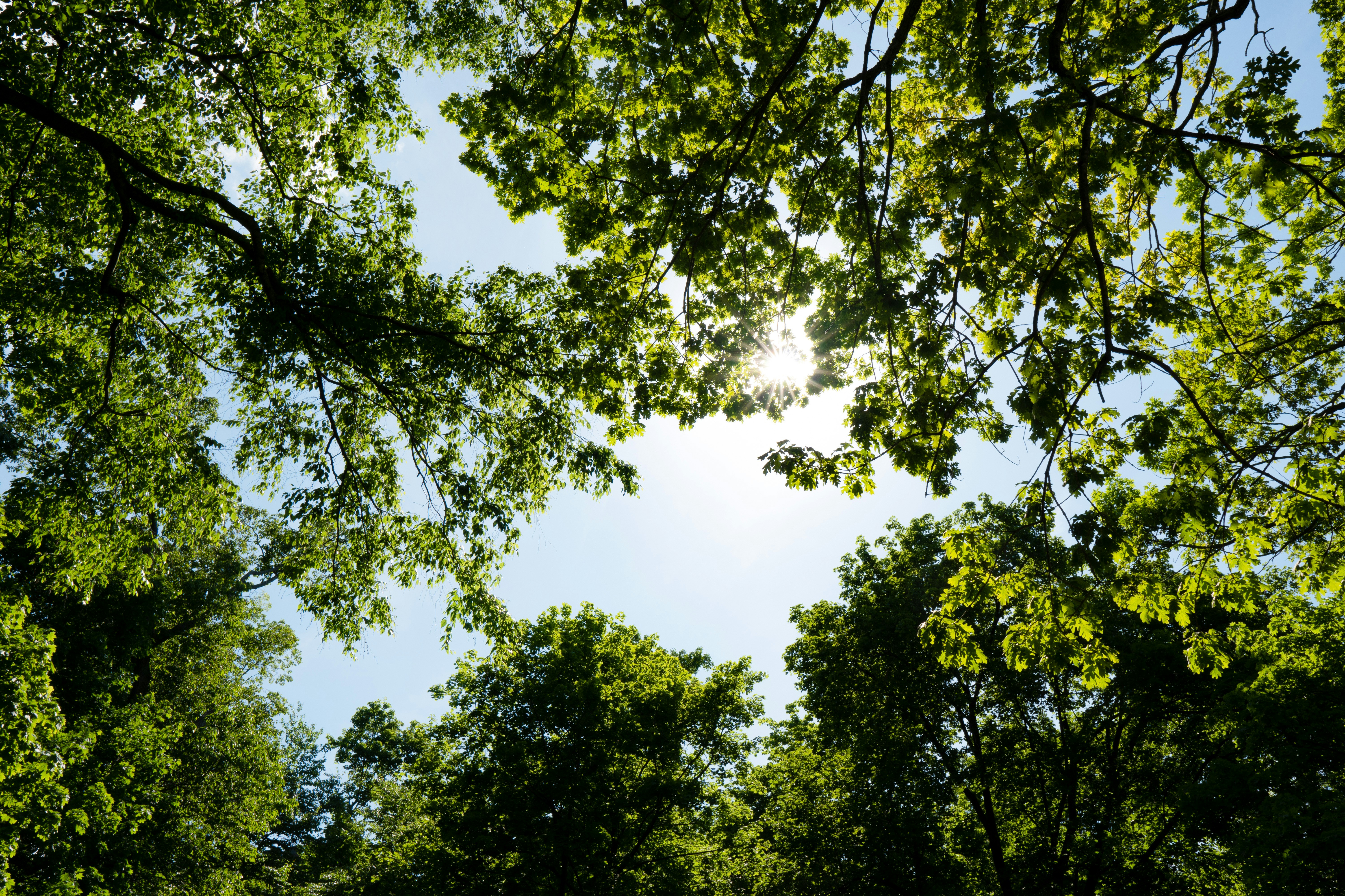 Photo by emmanuelphaeton