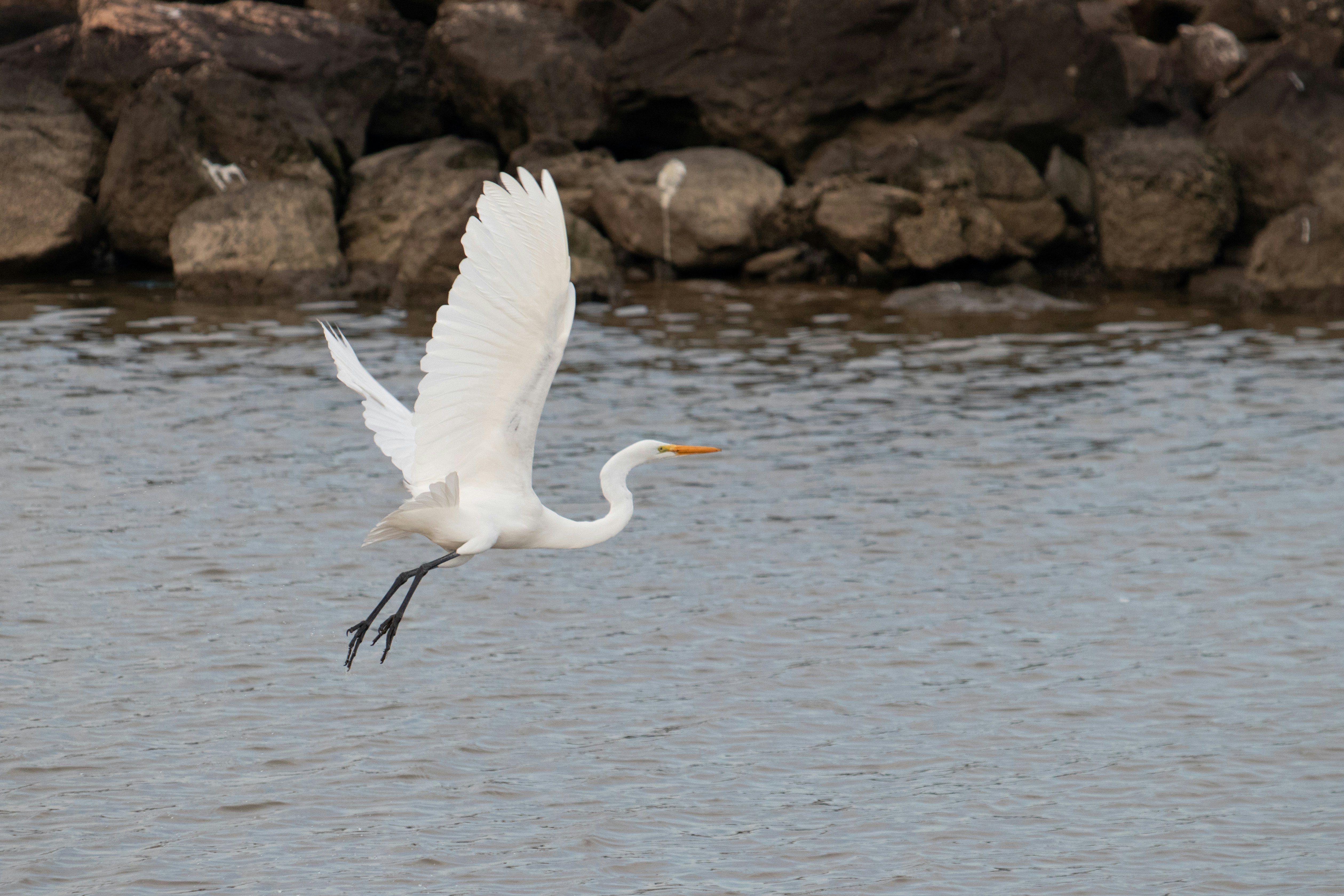 Photo by sonianadales