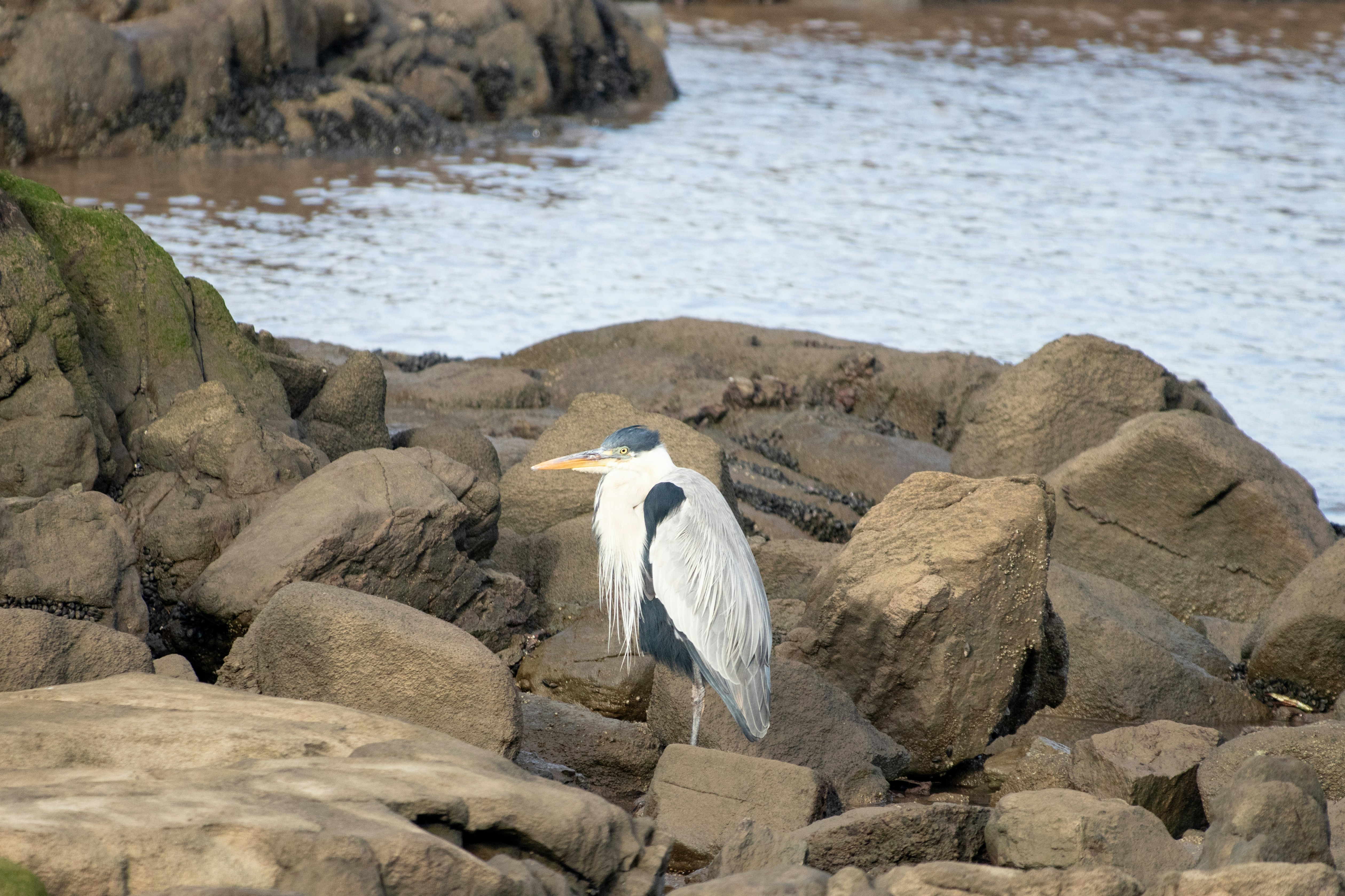 Photo by sonianadales