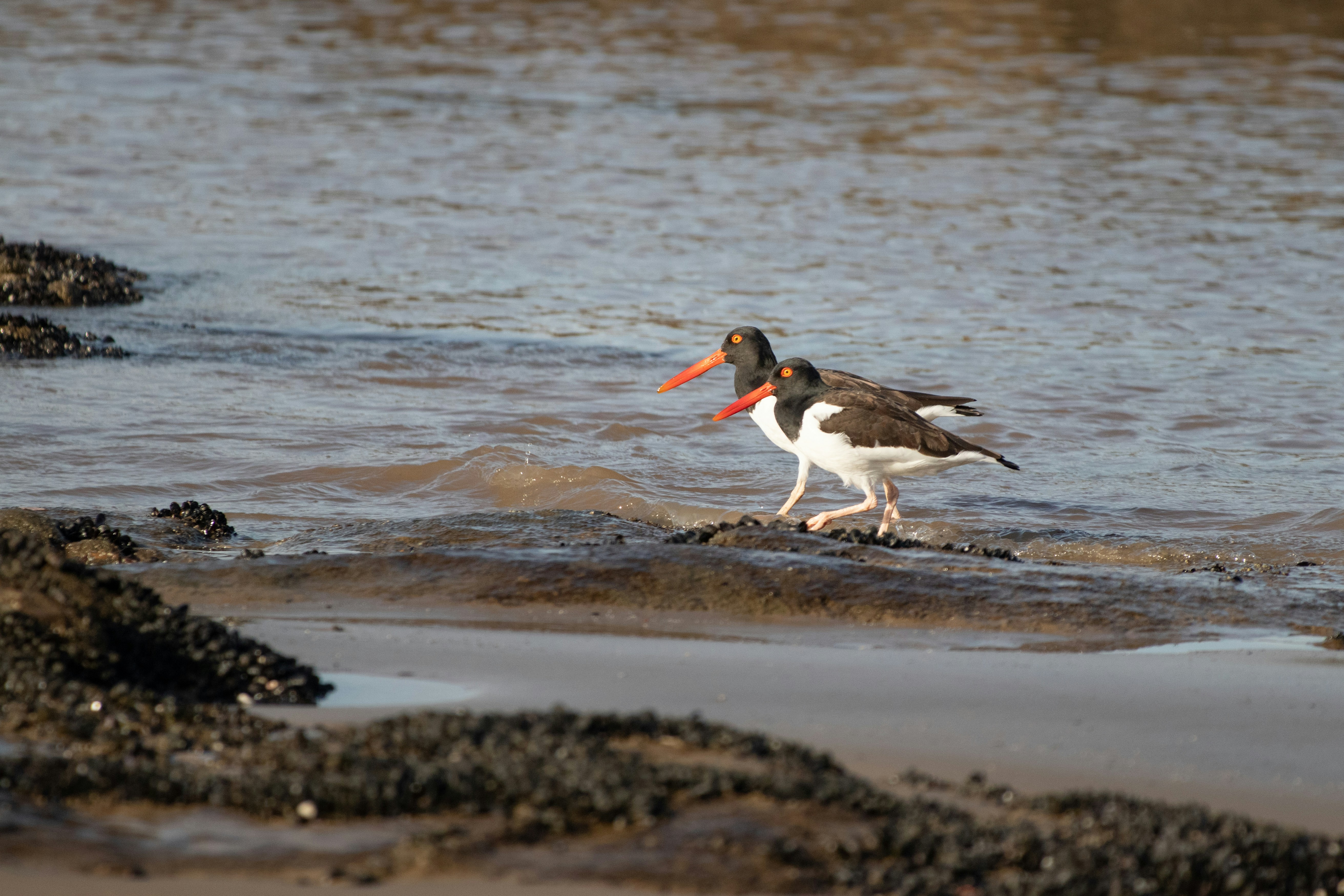 Photo by sonianadales