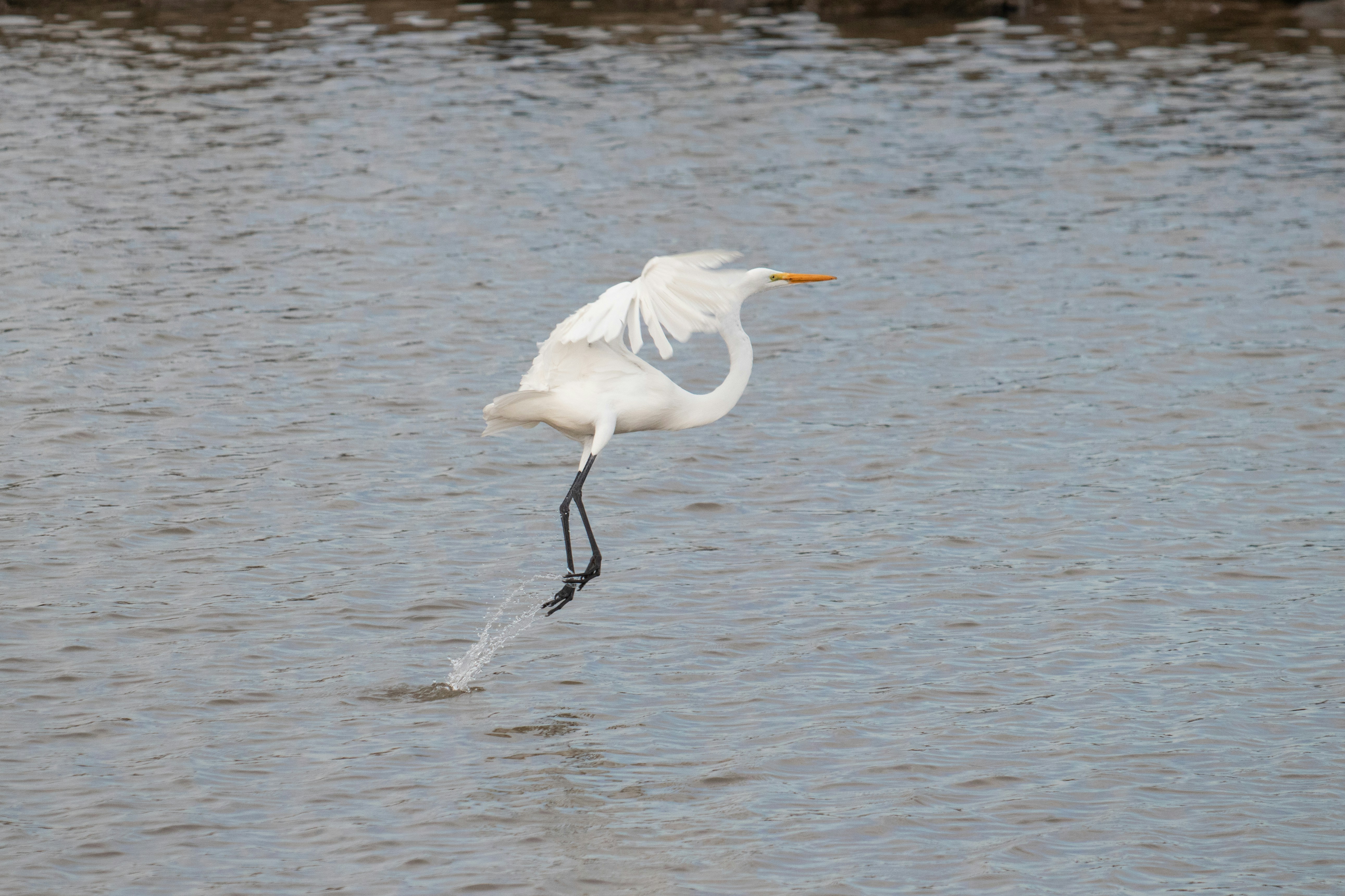 Photo by sonianadales