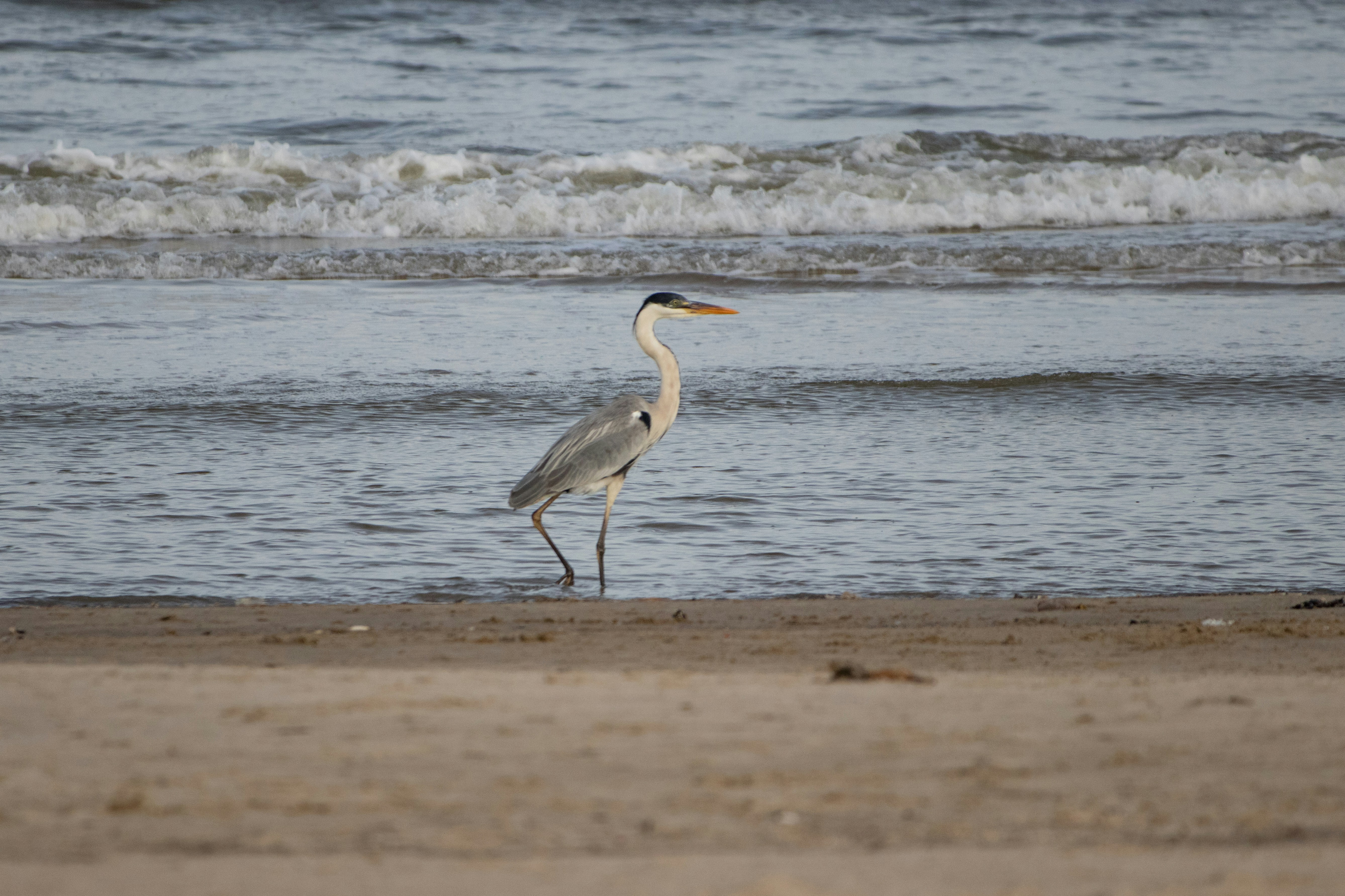 Photo by sonianadales