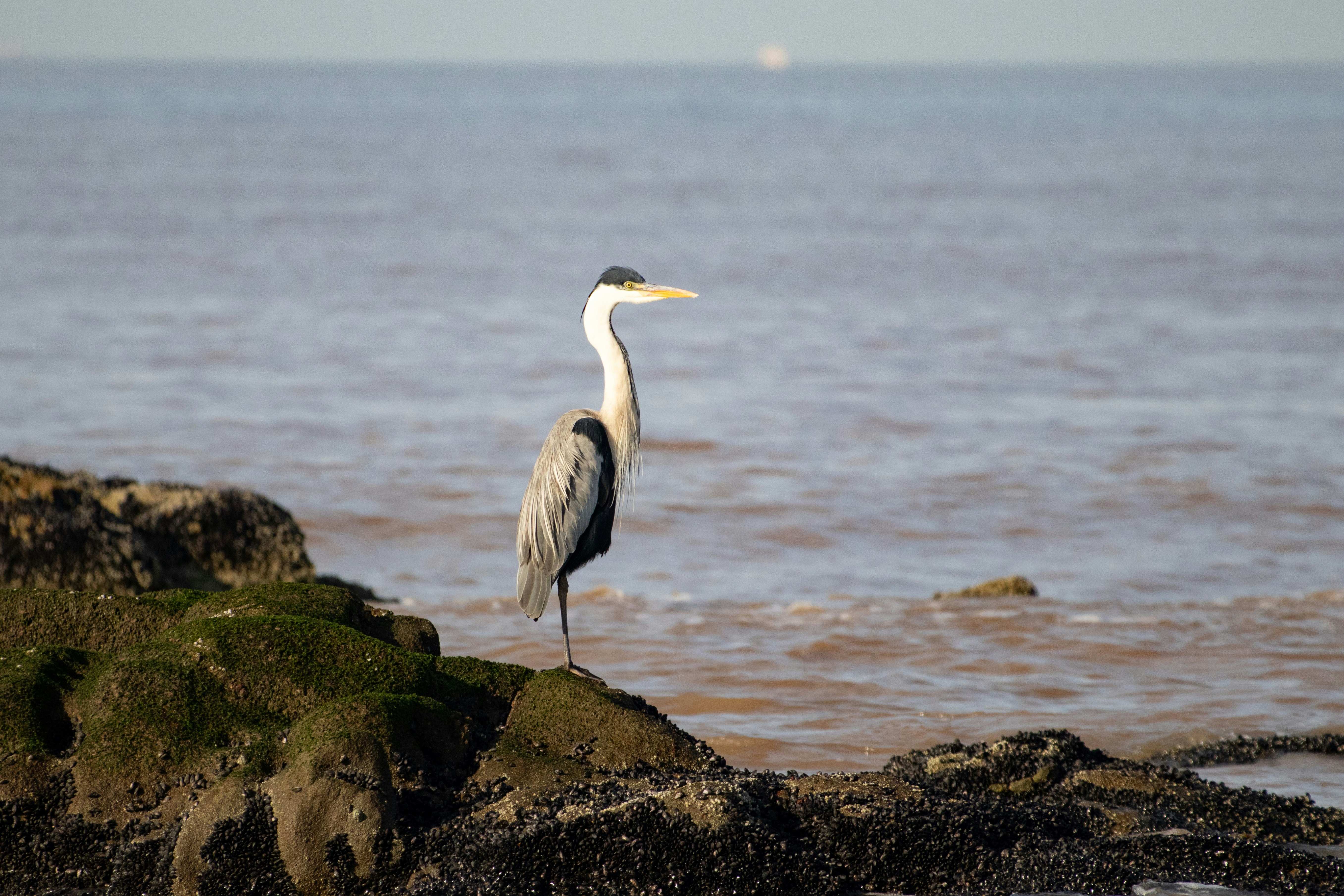 Photo by sonianadales