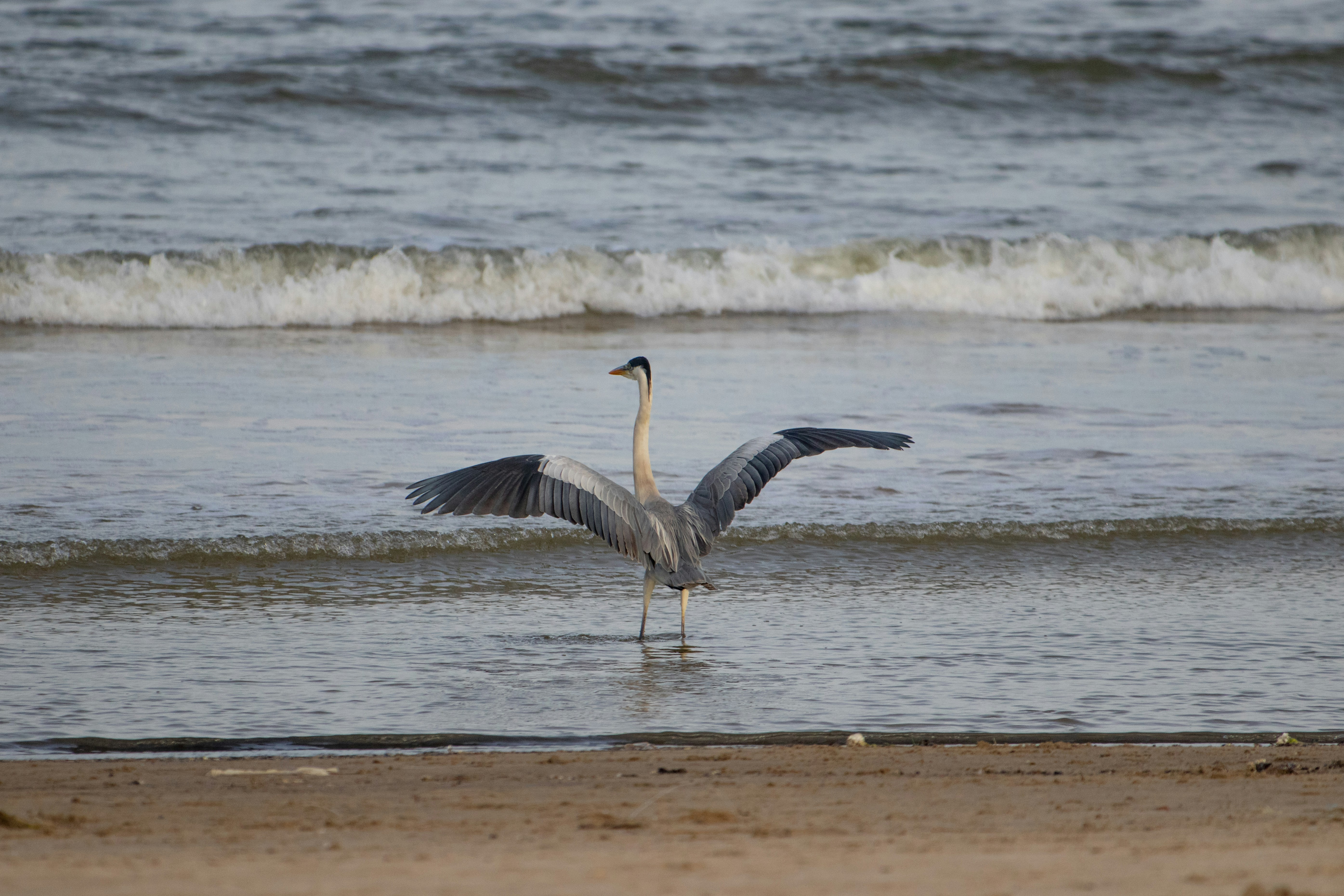 Photo by sonianadales