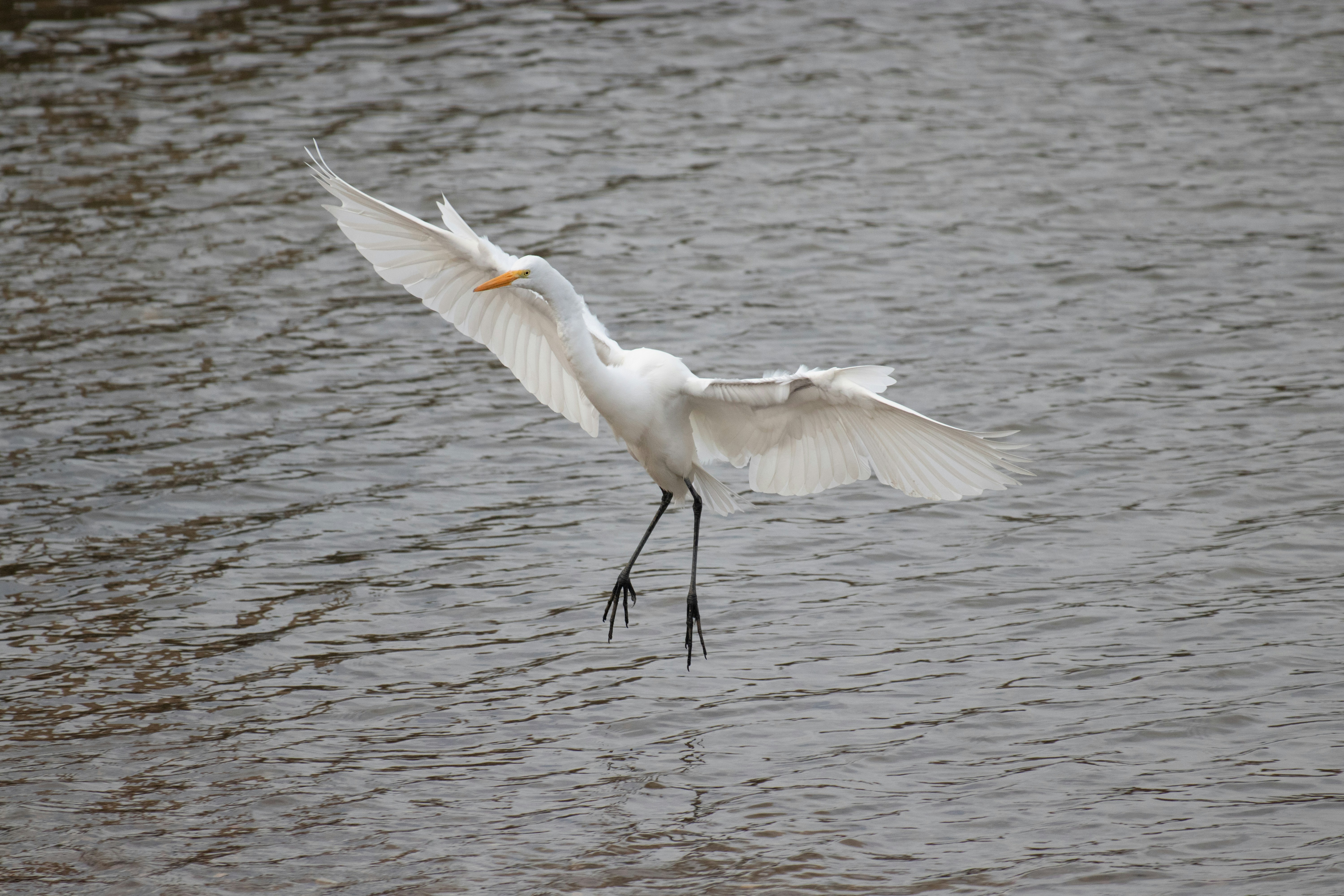 Photo by sonianadales