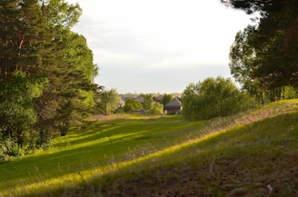 A serene morning view of lush green farmhouses at Sportsland Farm Houses, Noida, with soft sunlight filtering through trees.