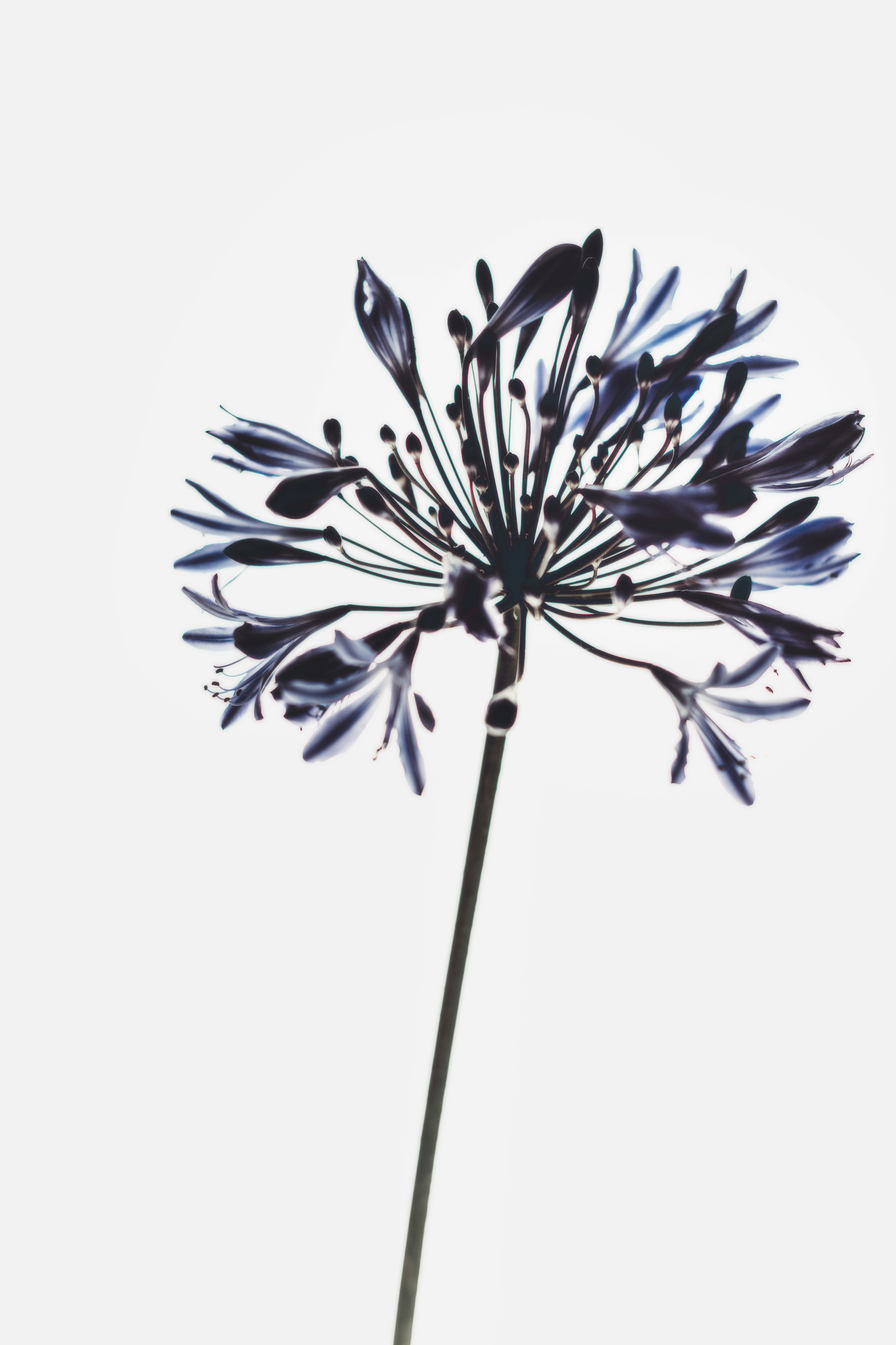 Photo by timmossholder