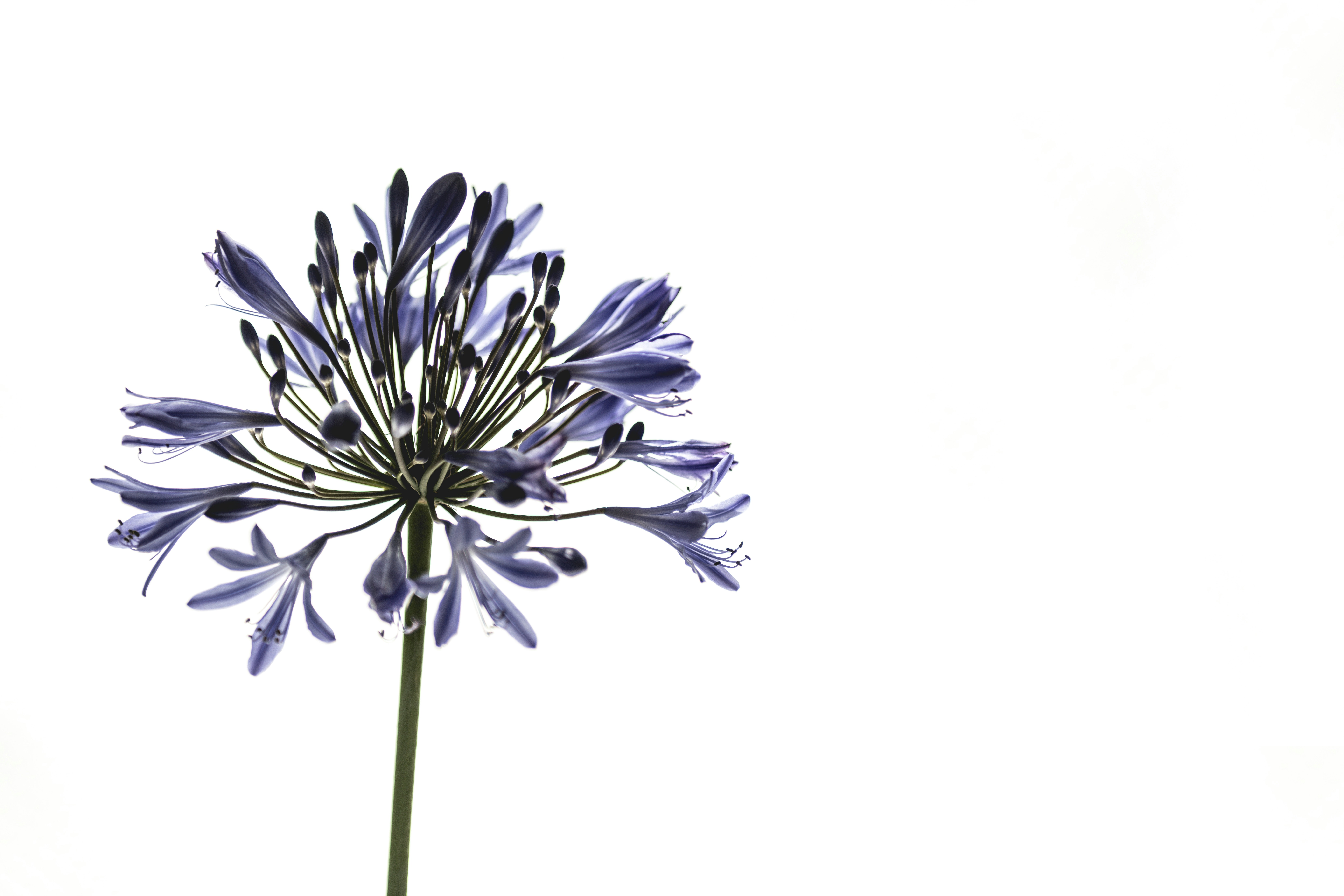 Photo by timmossholder