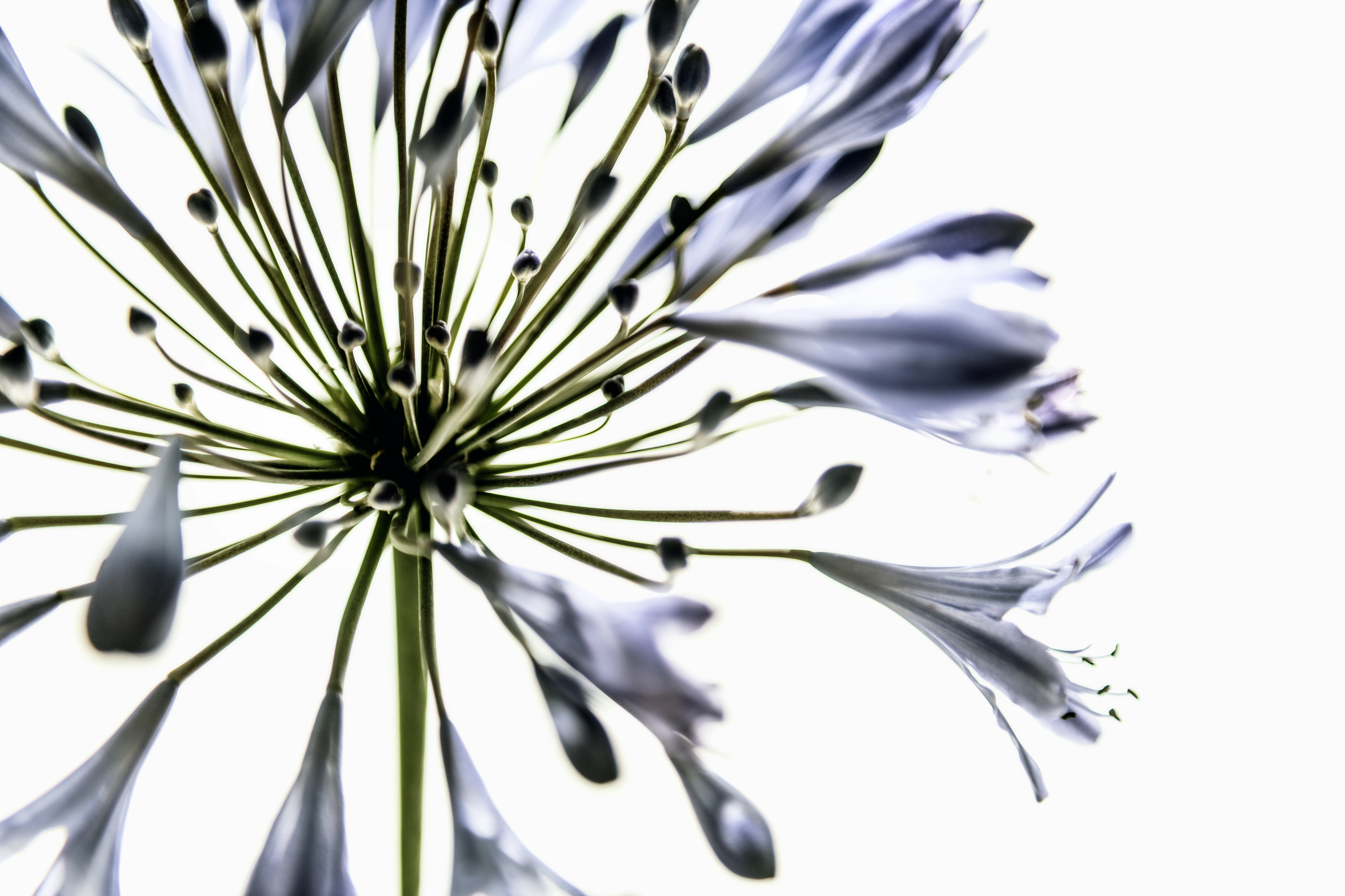 Photo by timmossholder