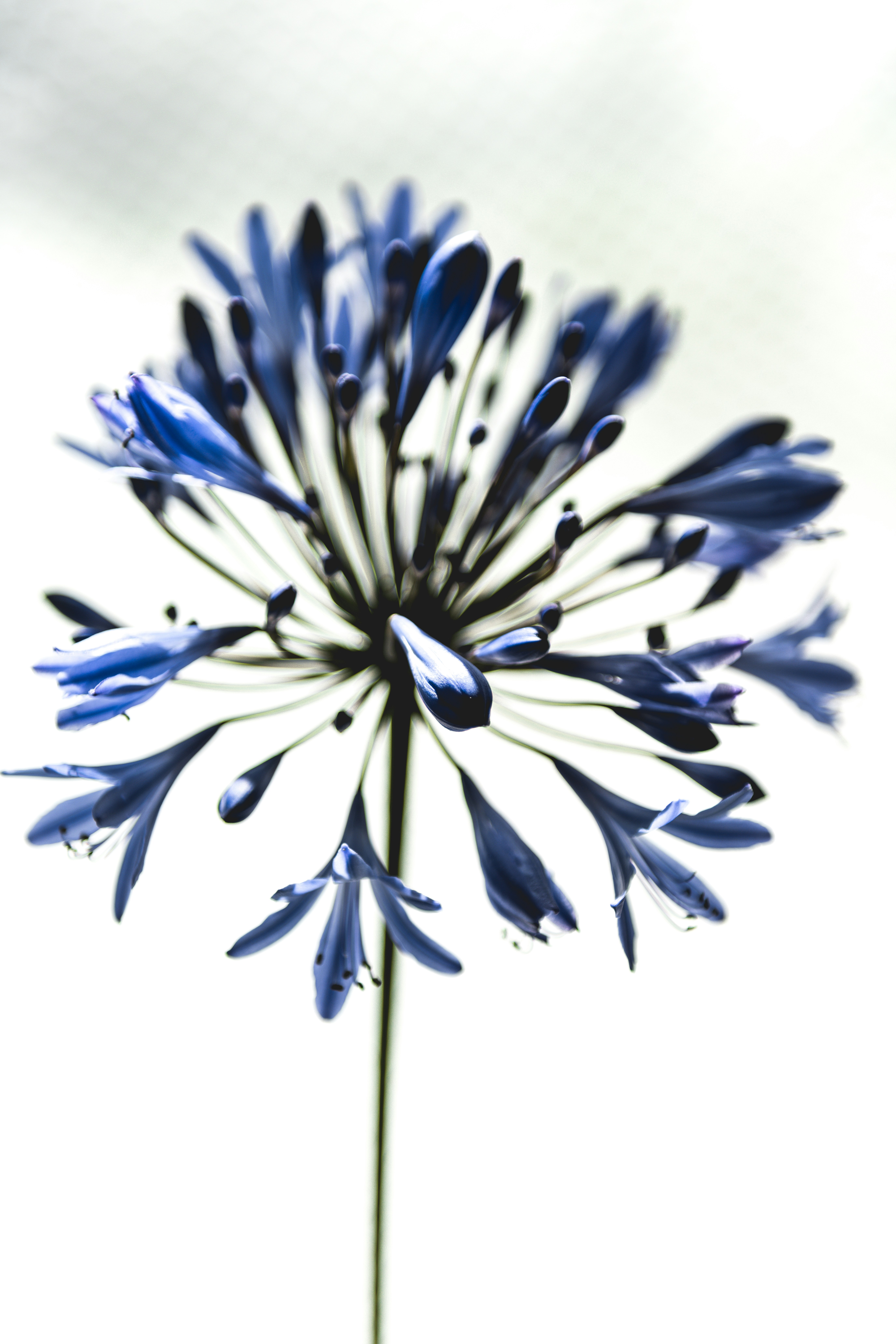 Photo by timmossholder