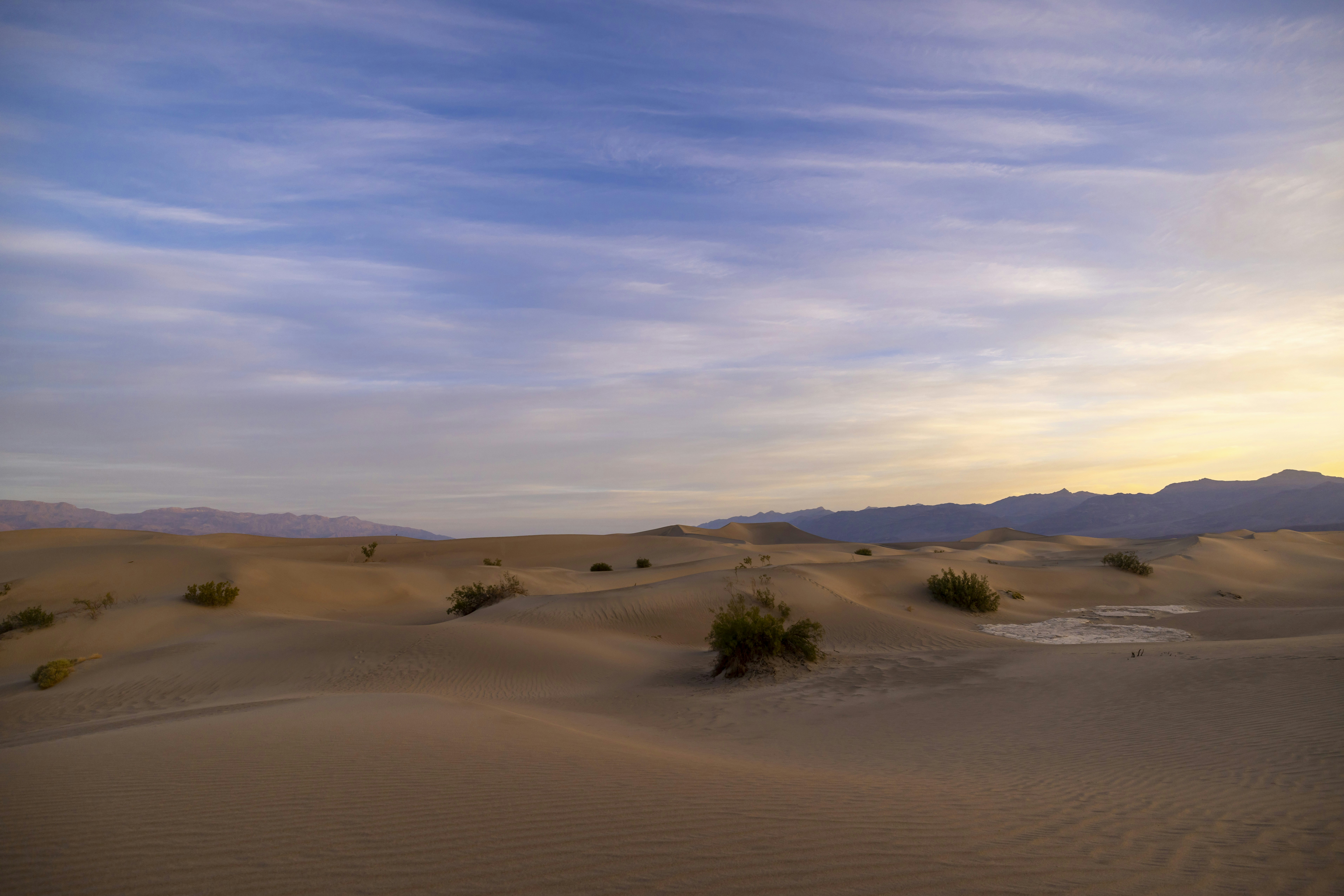 Photo by leo_visions_