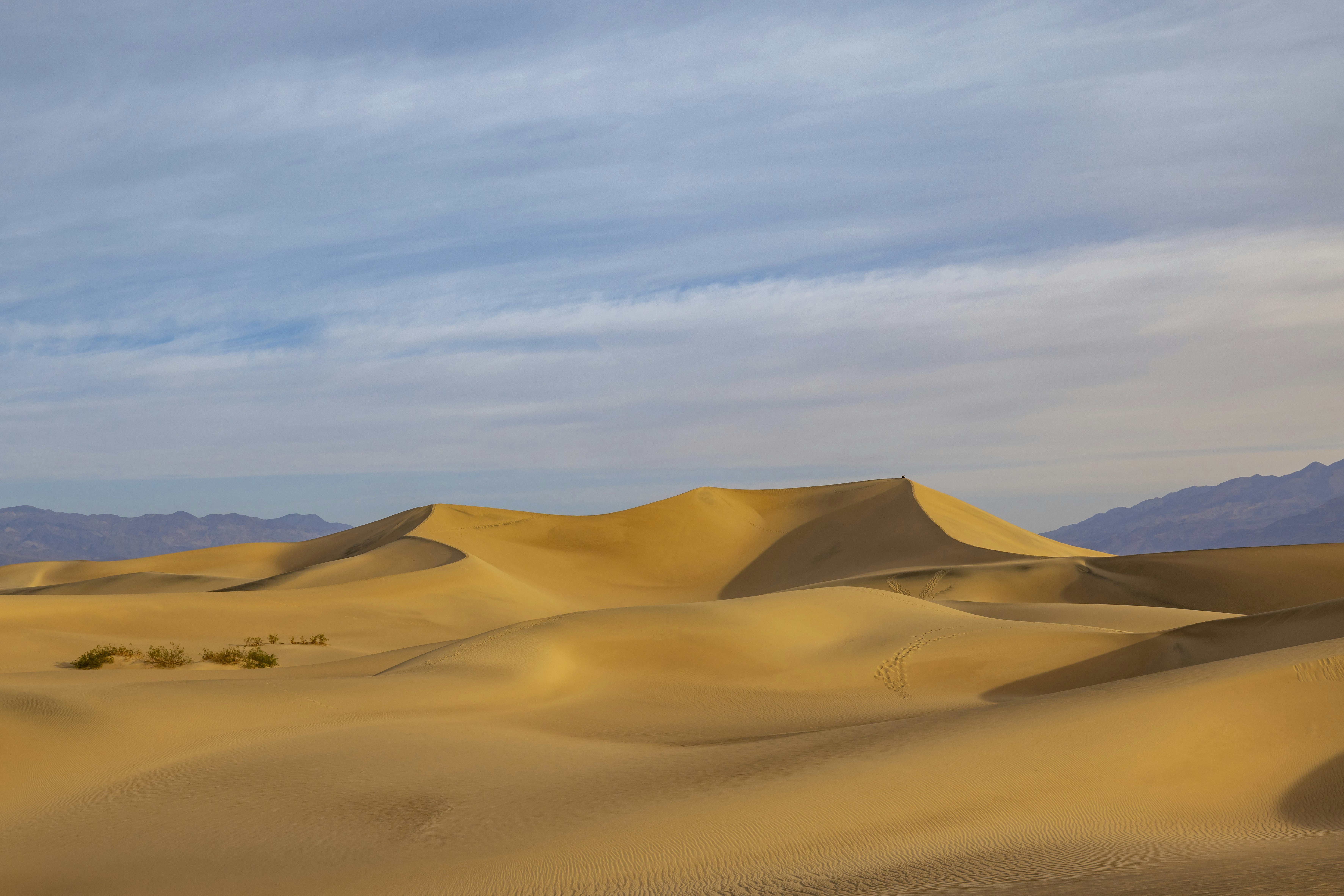 Photo by leo_visions_