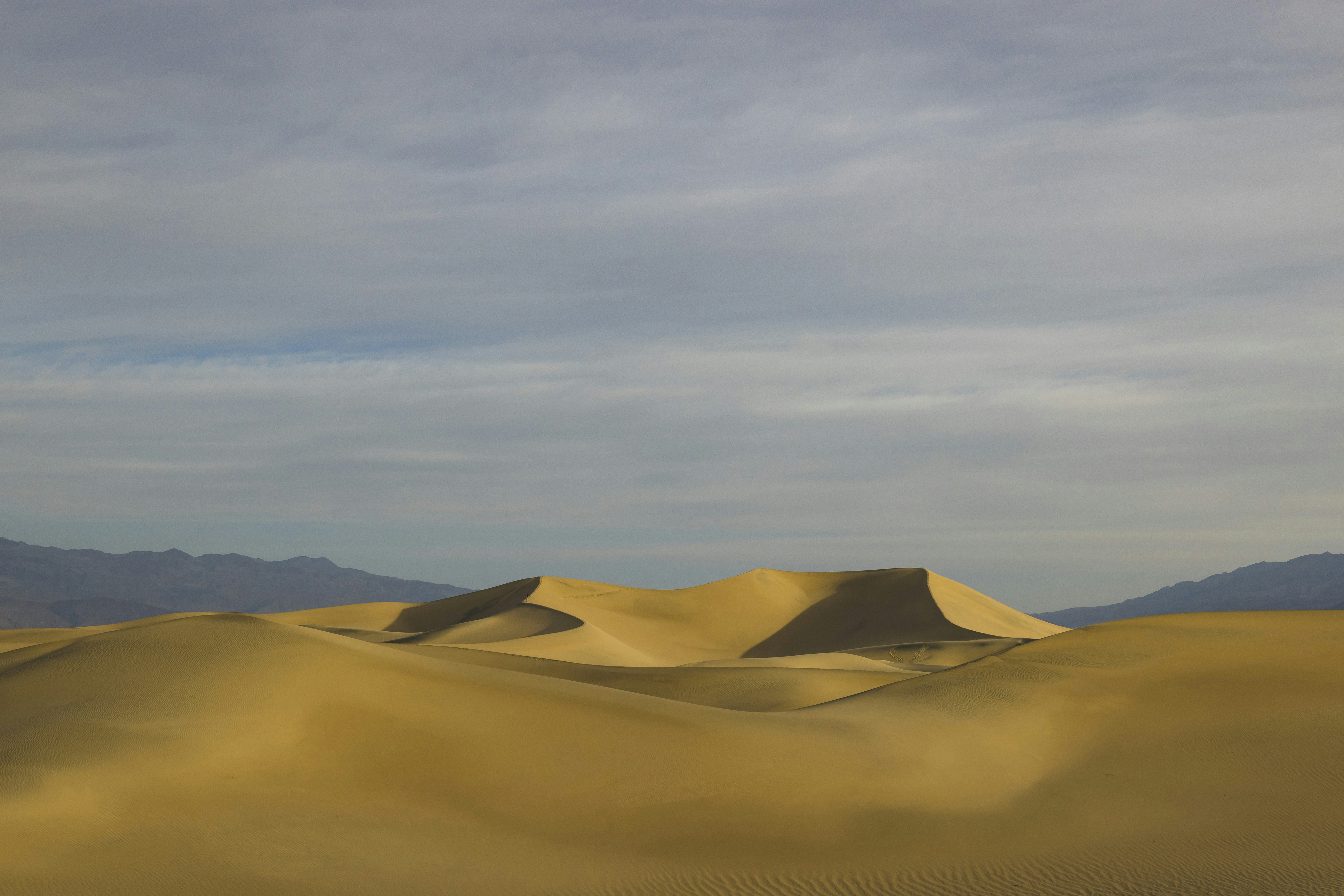 Photo by leo_visions_