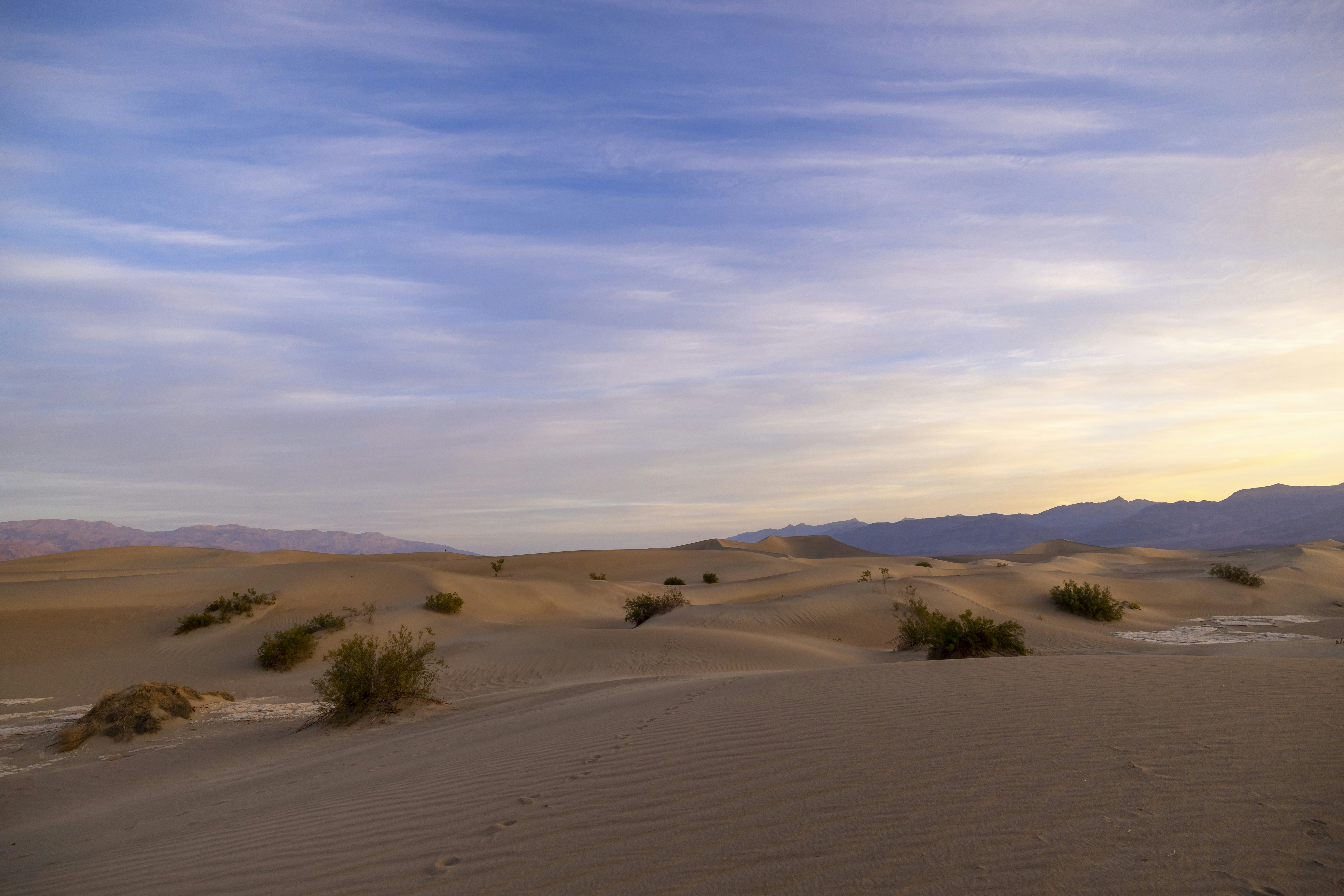 Photo by leo_visions_