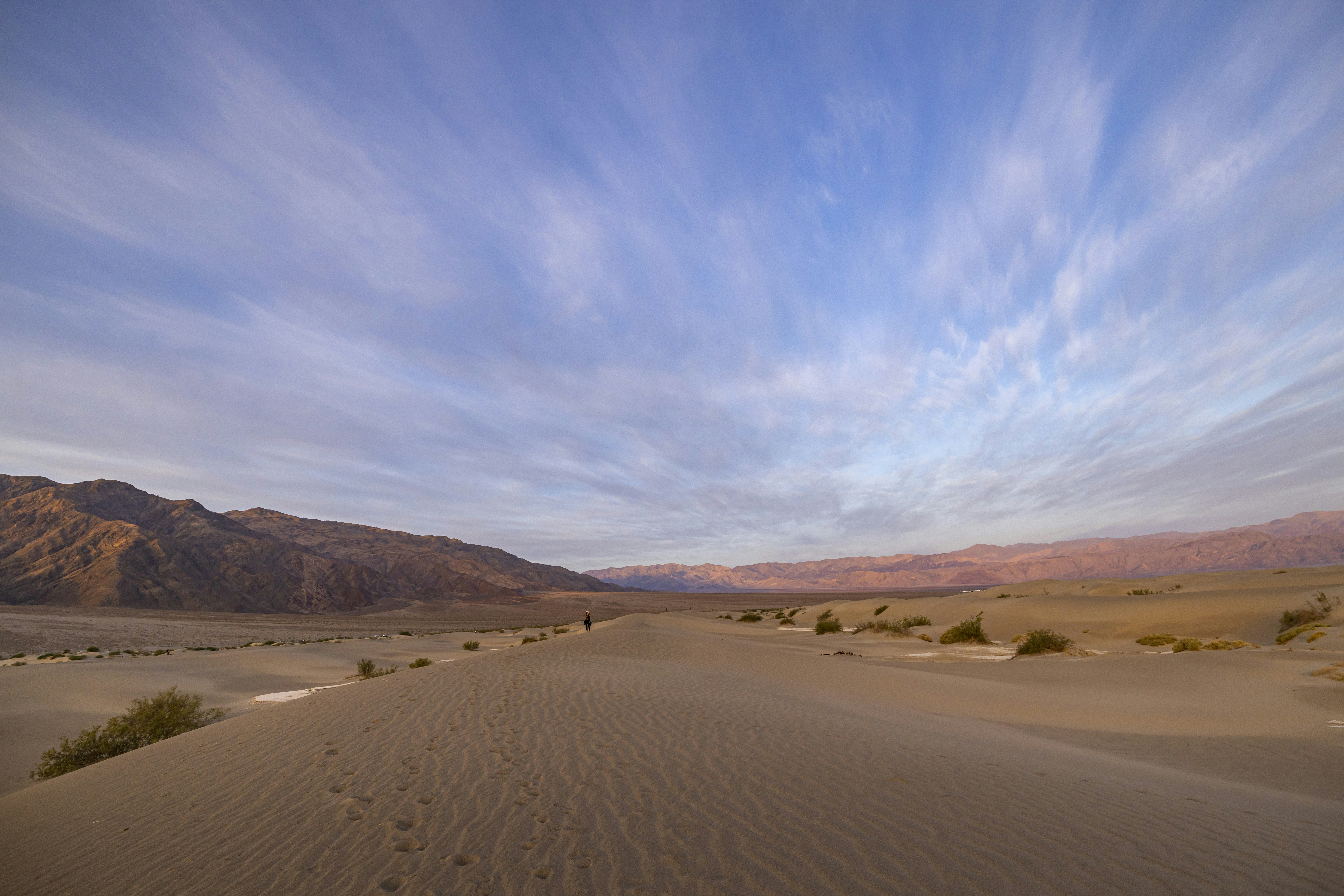 Photo by leo_visions_