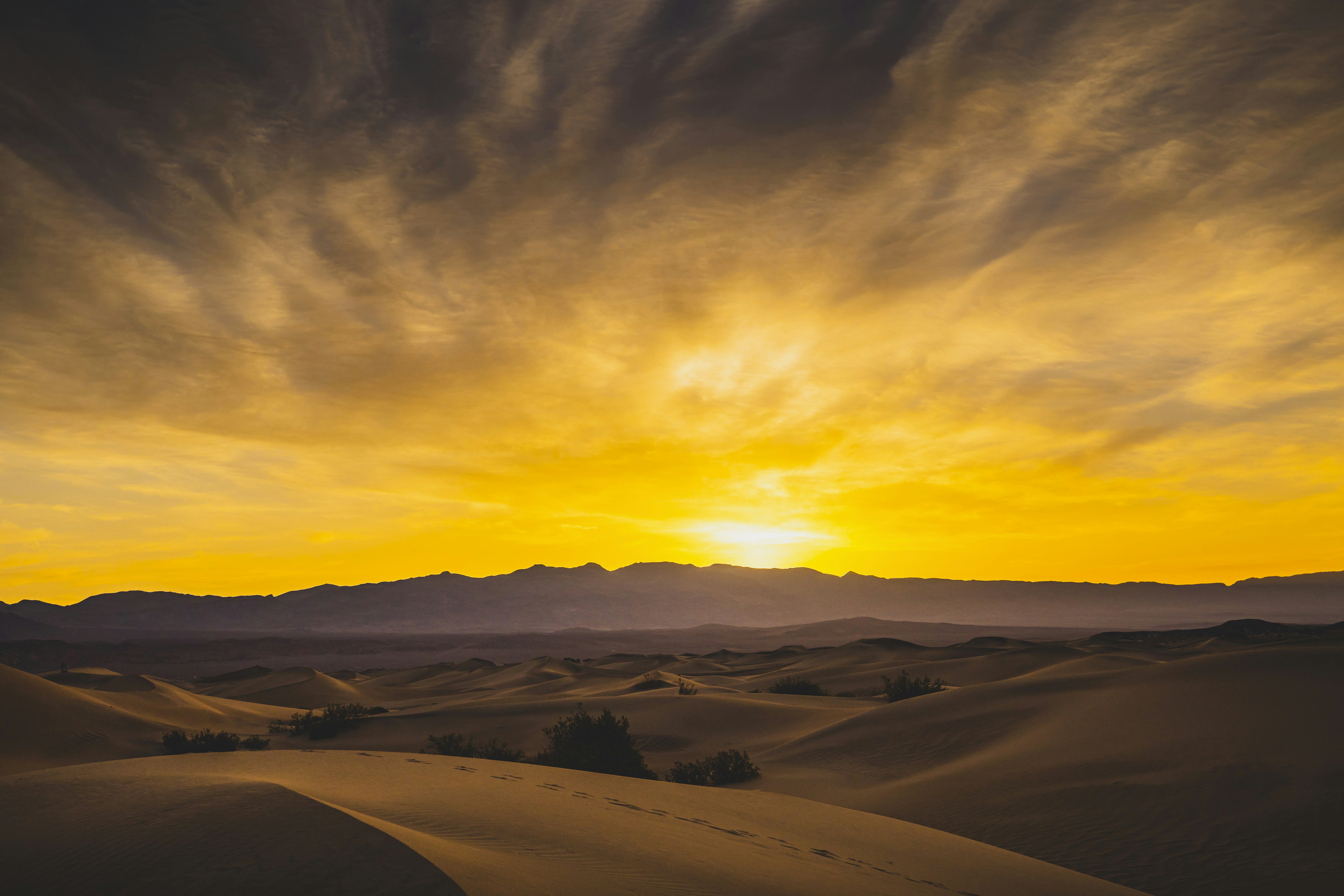 Photo by leo_visions_