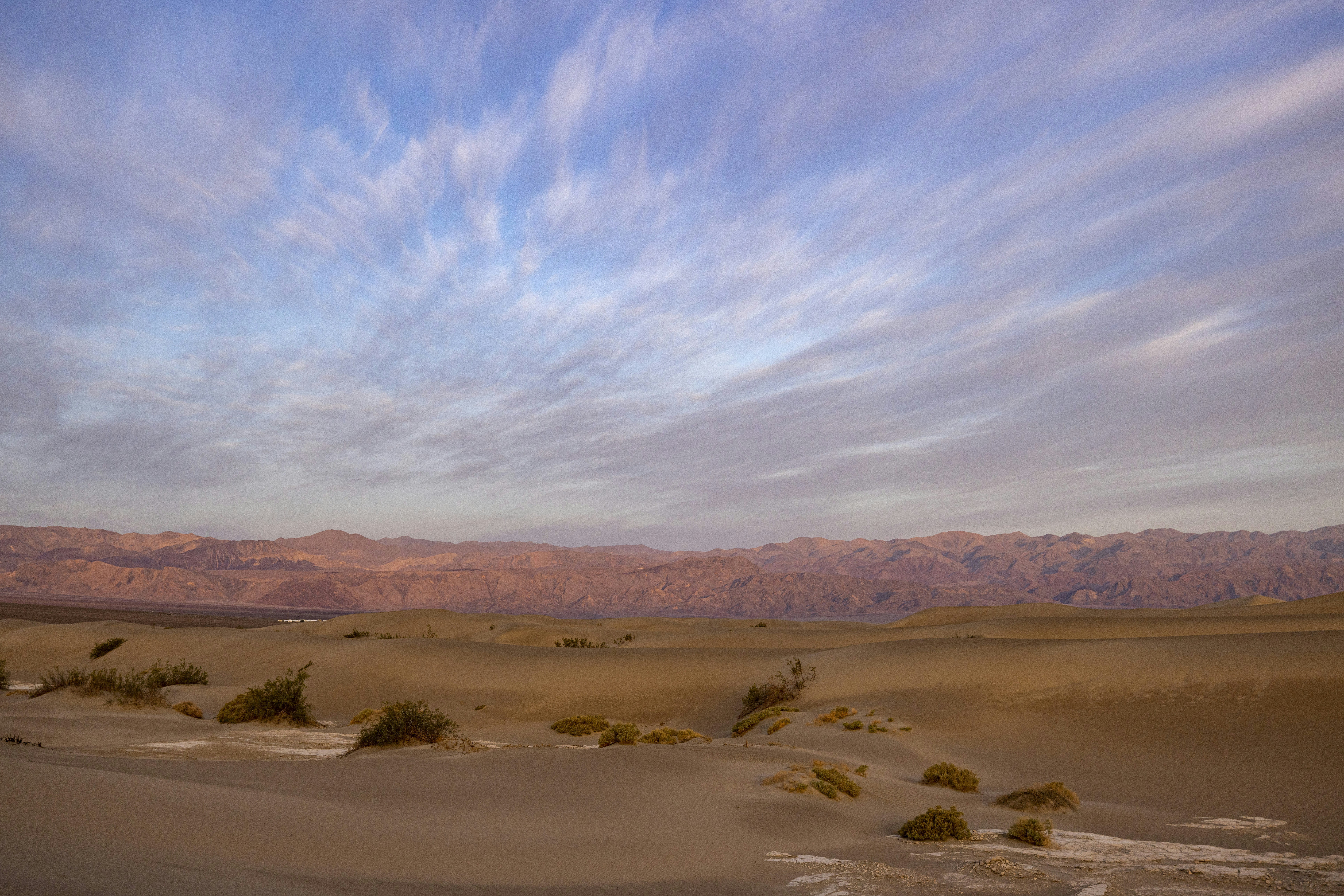 Photo by leo_visions_