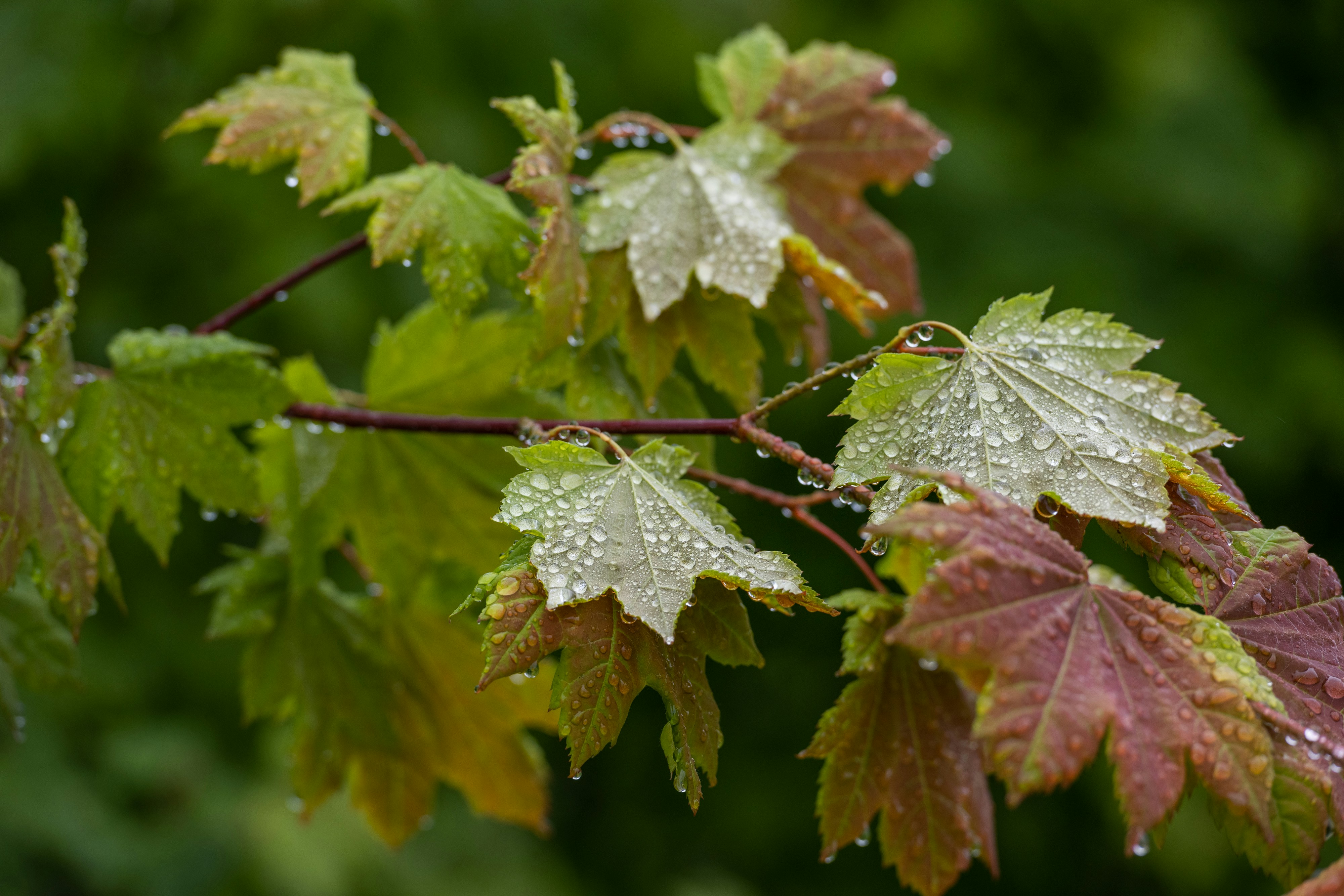 Photo by suzanne_ella