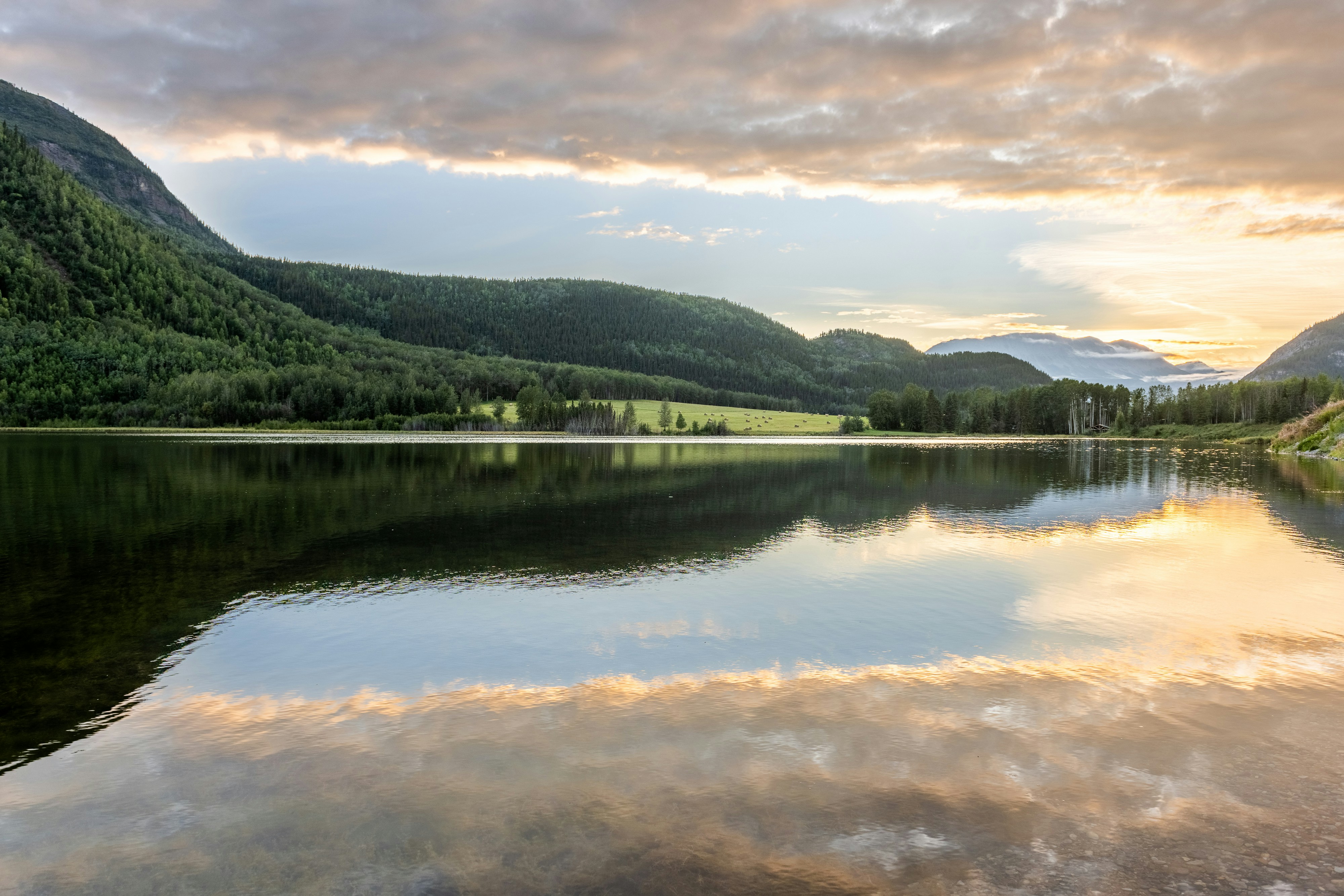 Photo by suzanne_ella