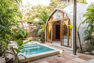 a small pool in the middle of a garden