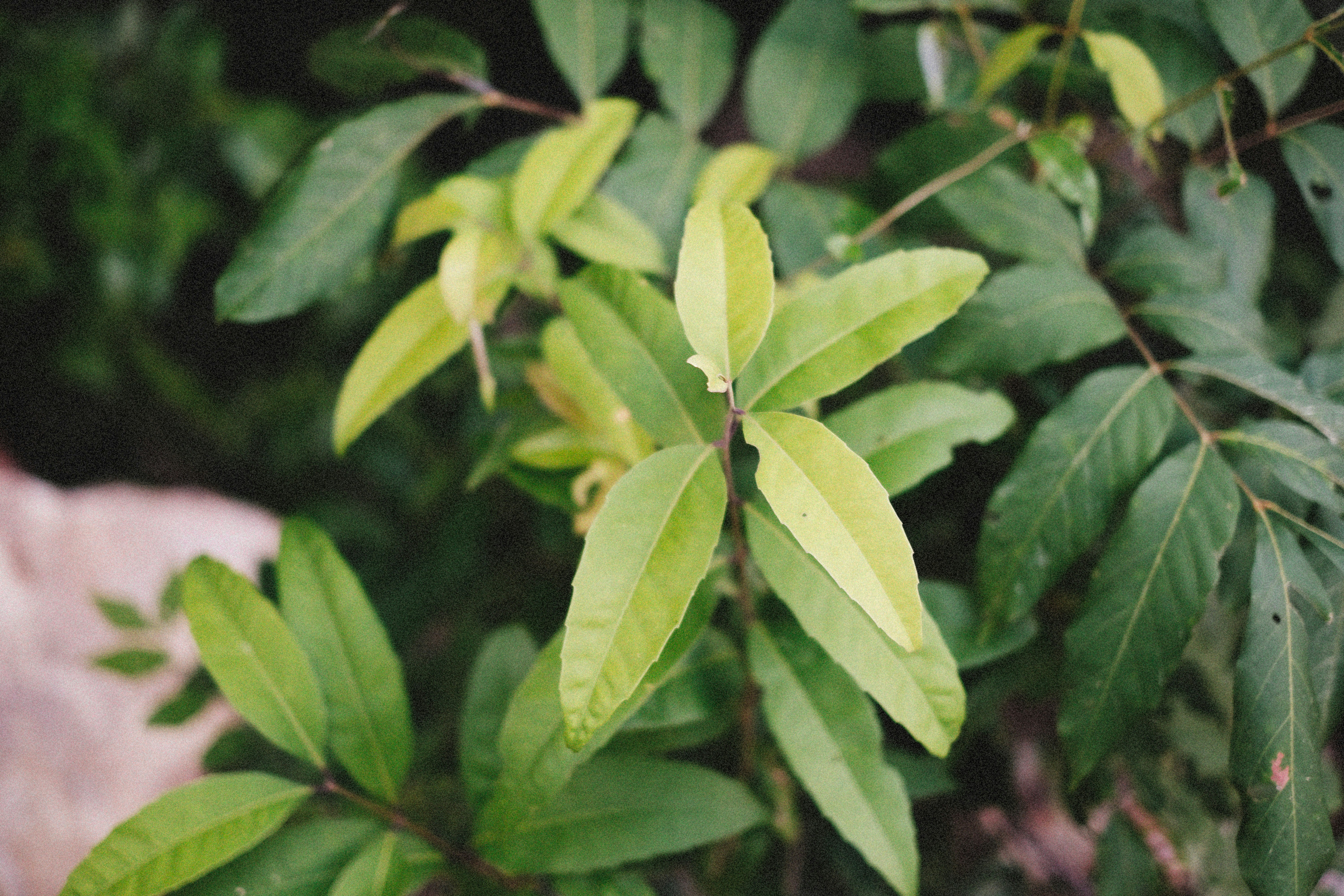 Photo by alexeydemidov