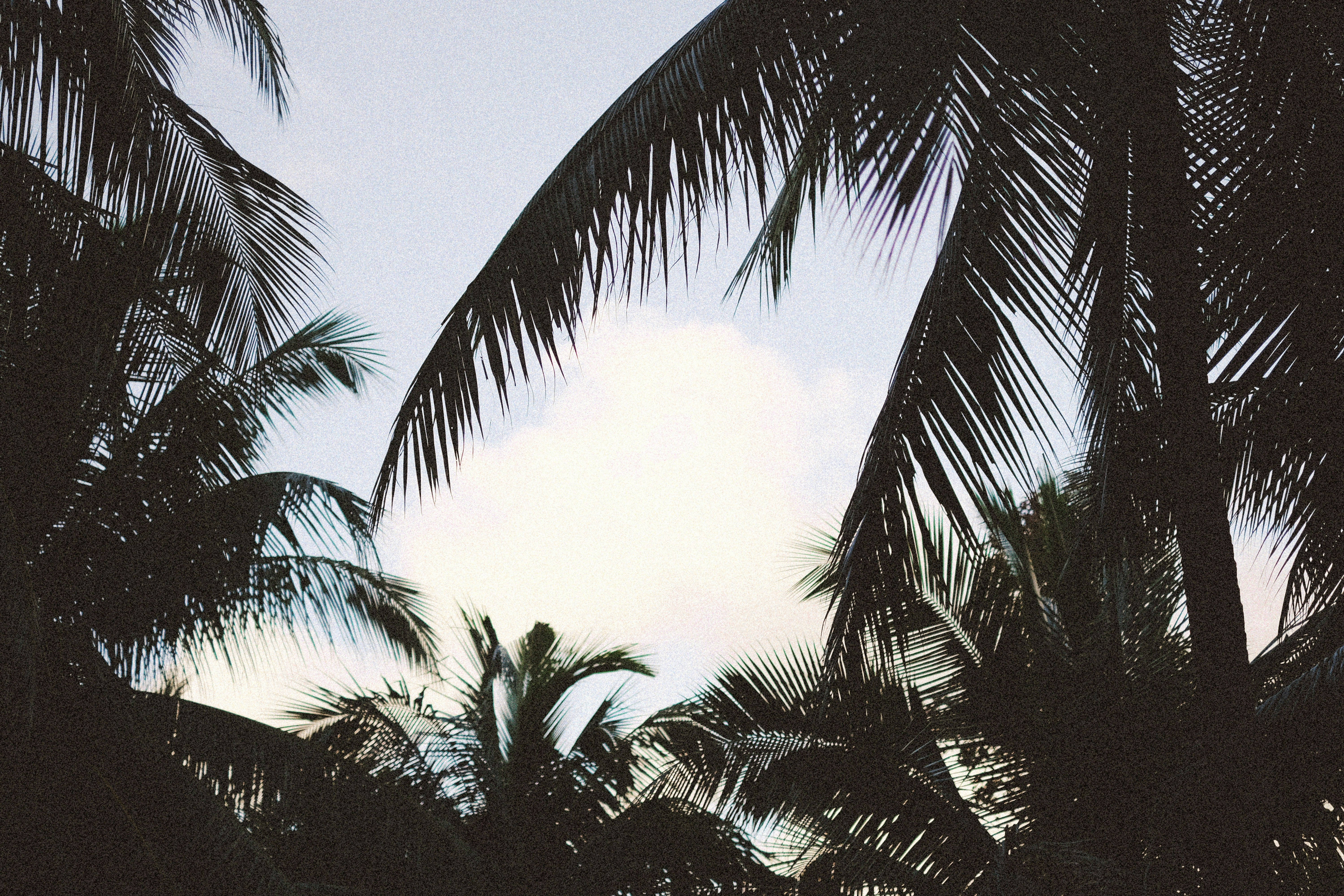 Photo by alexeydemidov