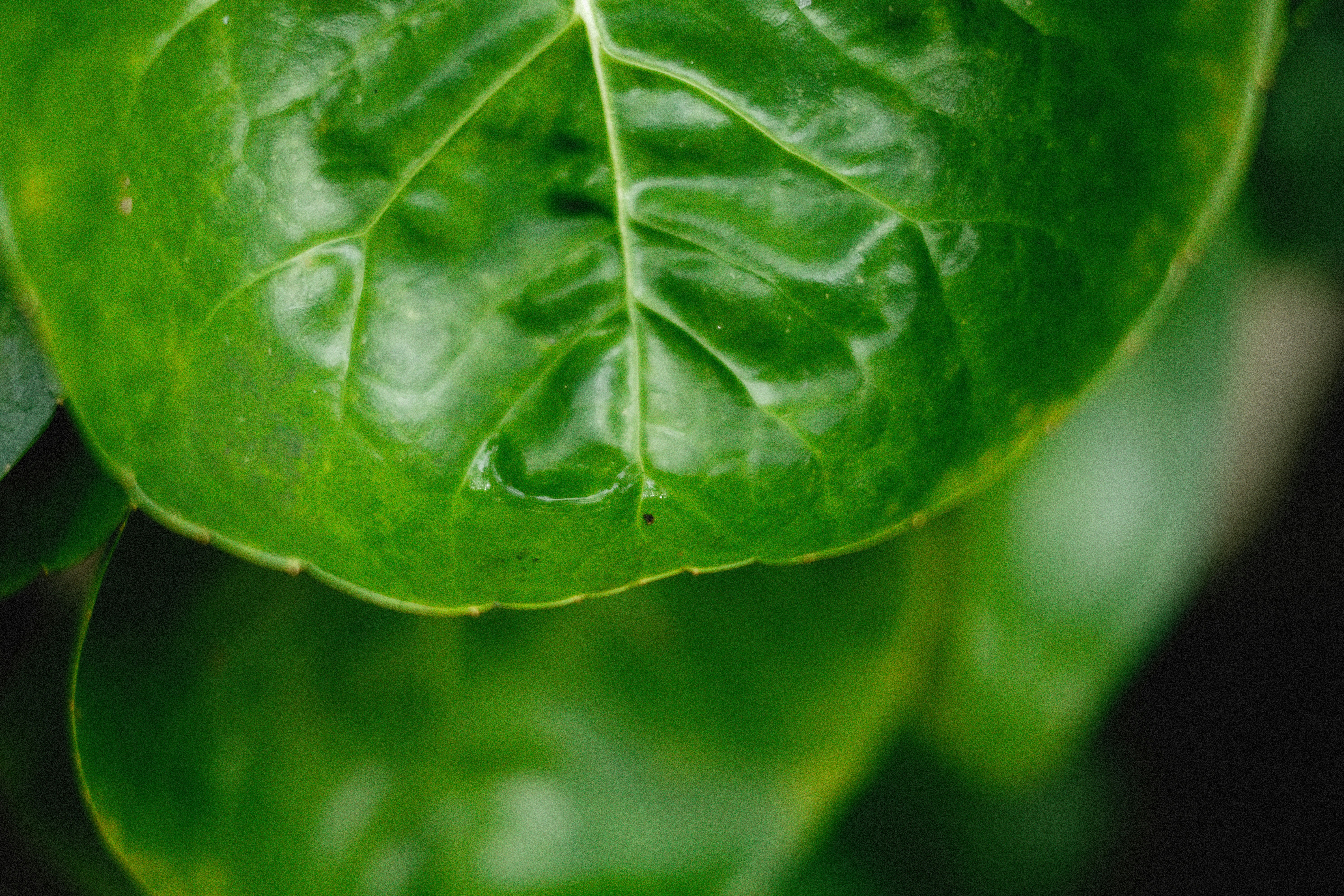 Photo by alexeydemidov