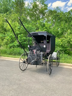A classic black horse-drawn carriage with large, spoked wheels is parked on a paved road. It is set against a backdrop of lush green trees and grass under a partly cloudy blue sky.