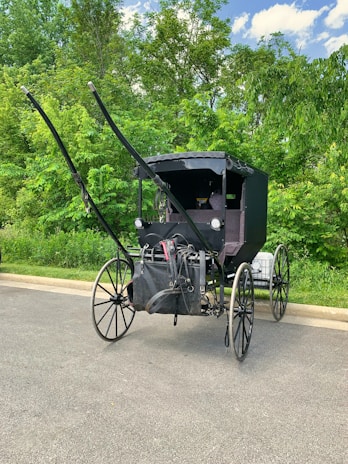A rustic horse-drawn carriage parked on a sunny country road with trees in the background.