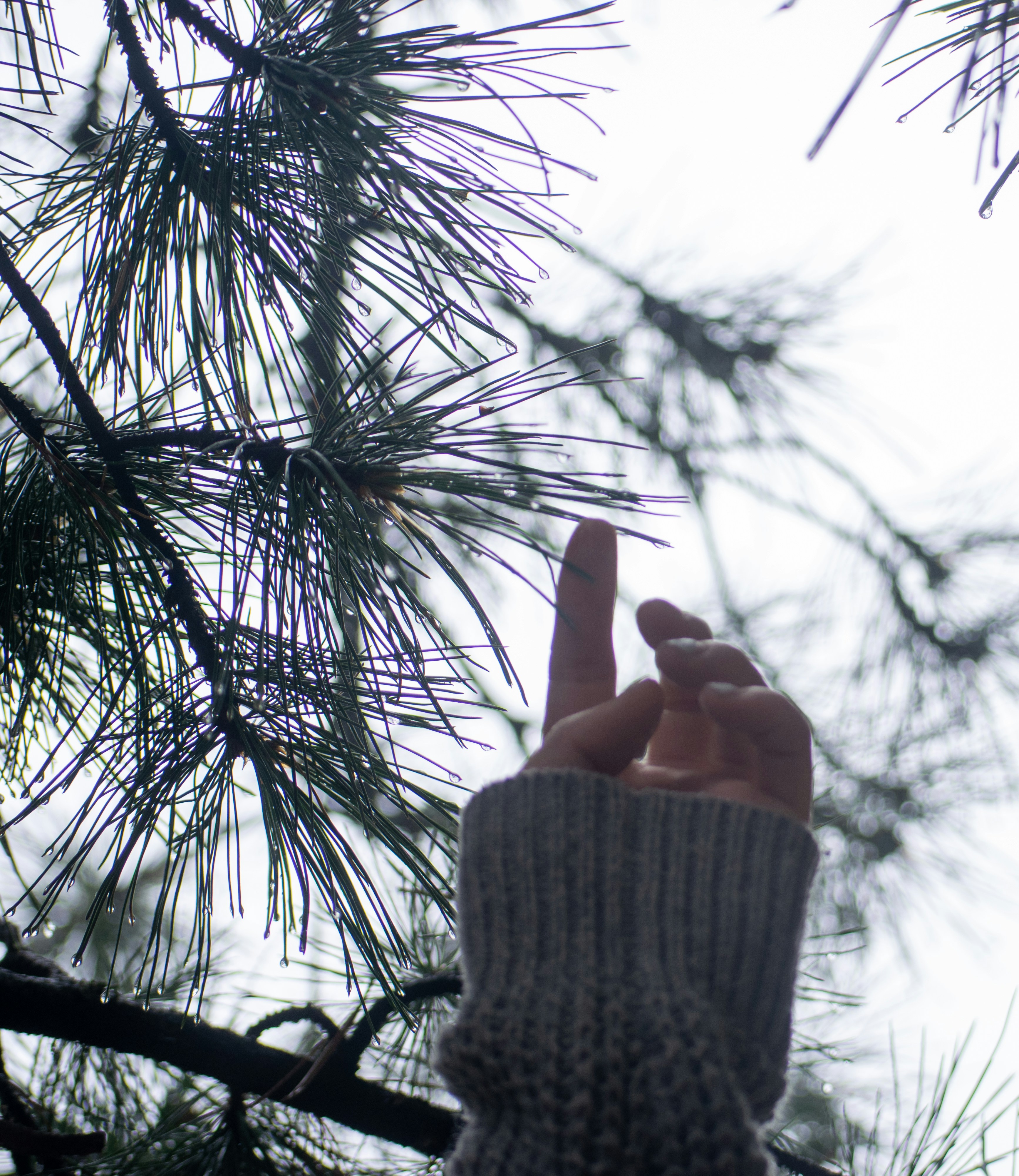 a person holding their fingers up in the air
