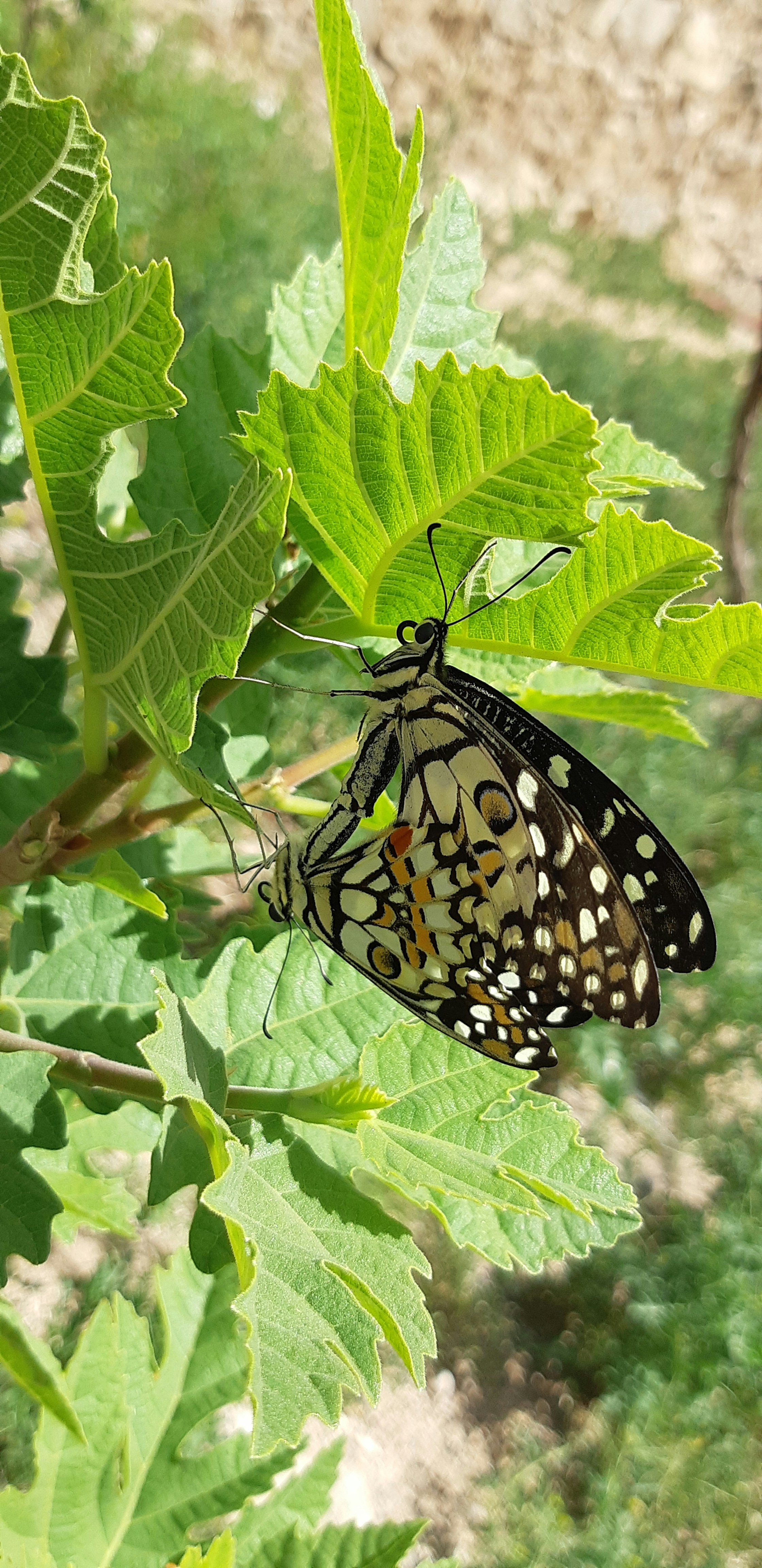javad joukar (@joukarj) | Unsplash Photo Community