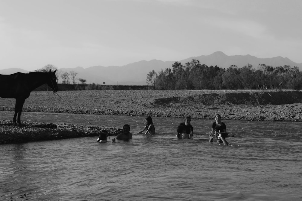 a group of people standing in a river next to a horse