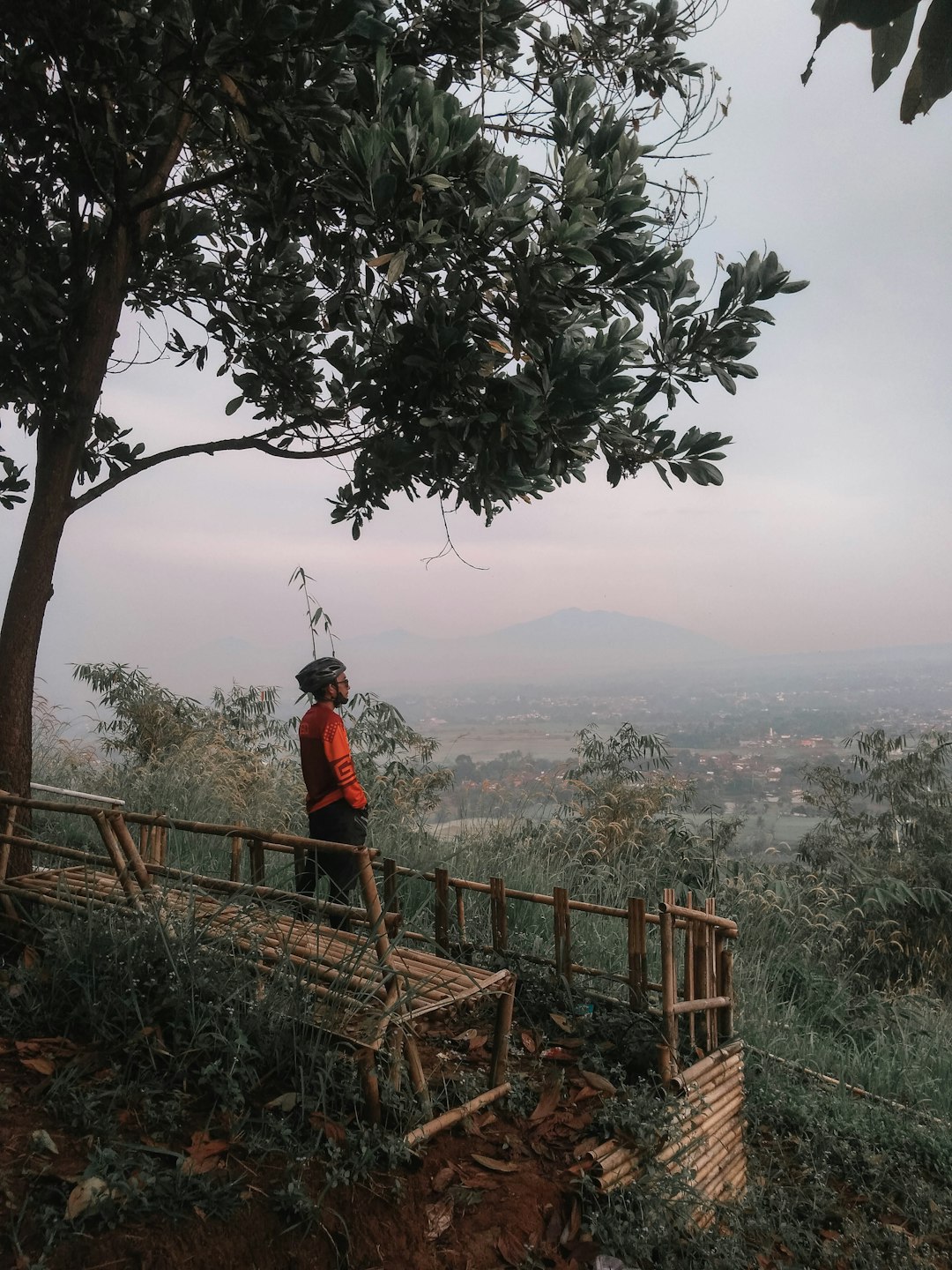 Natural landscape photo spot Sukabumi Kebun Raya Bogor