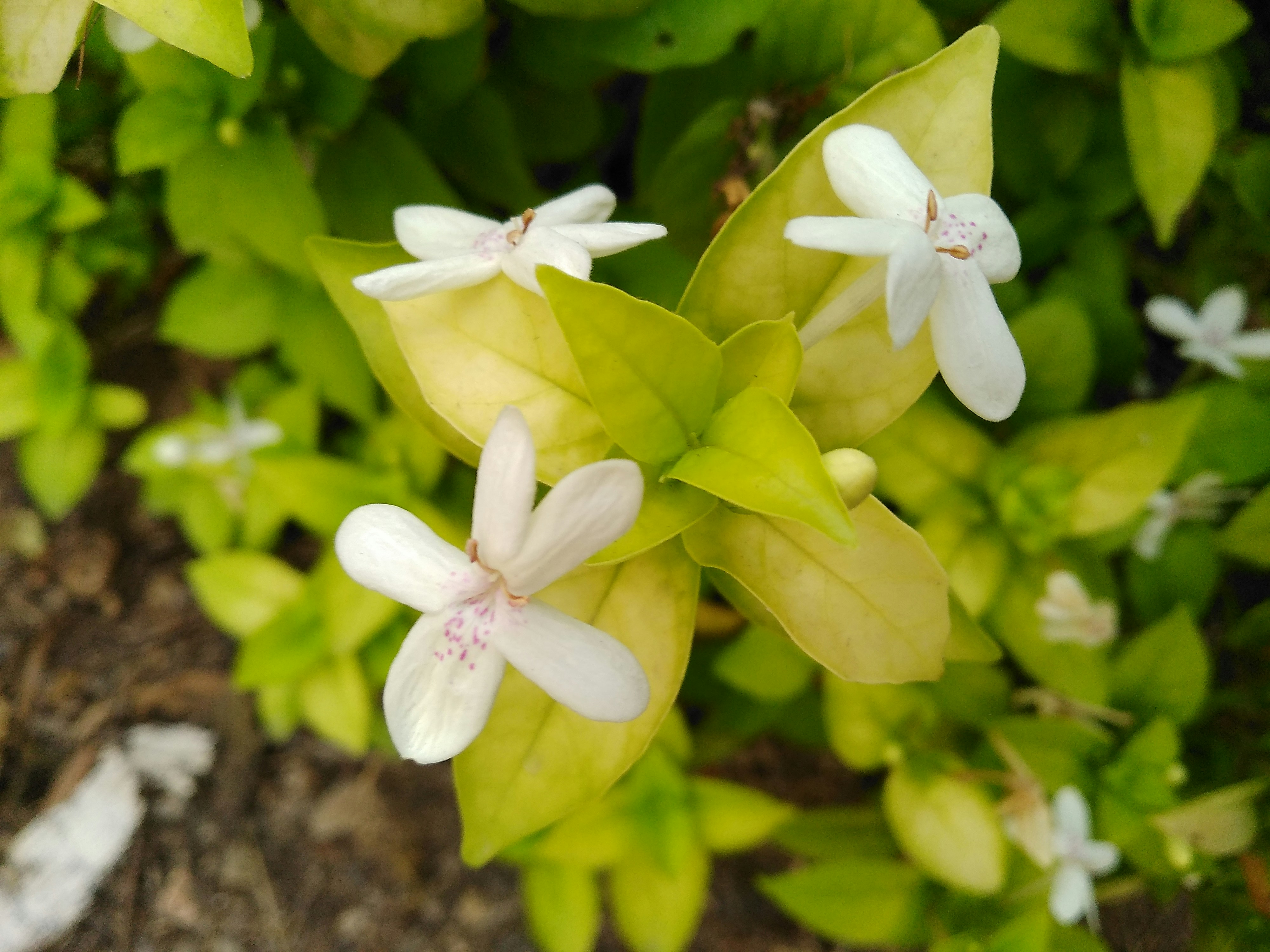 Photo by click_click_badaboom