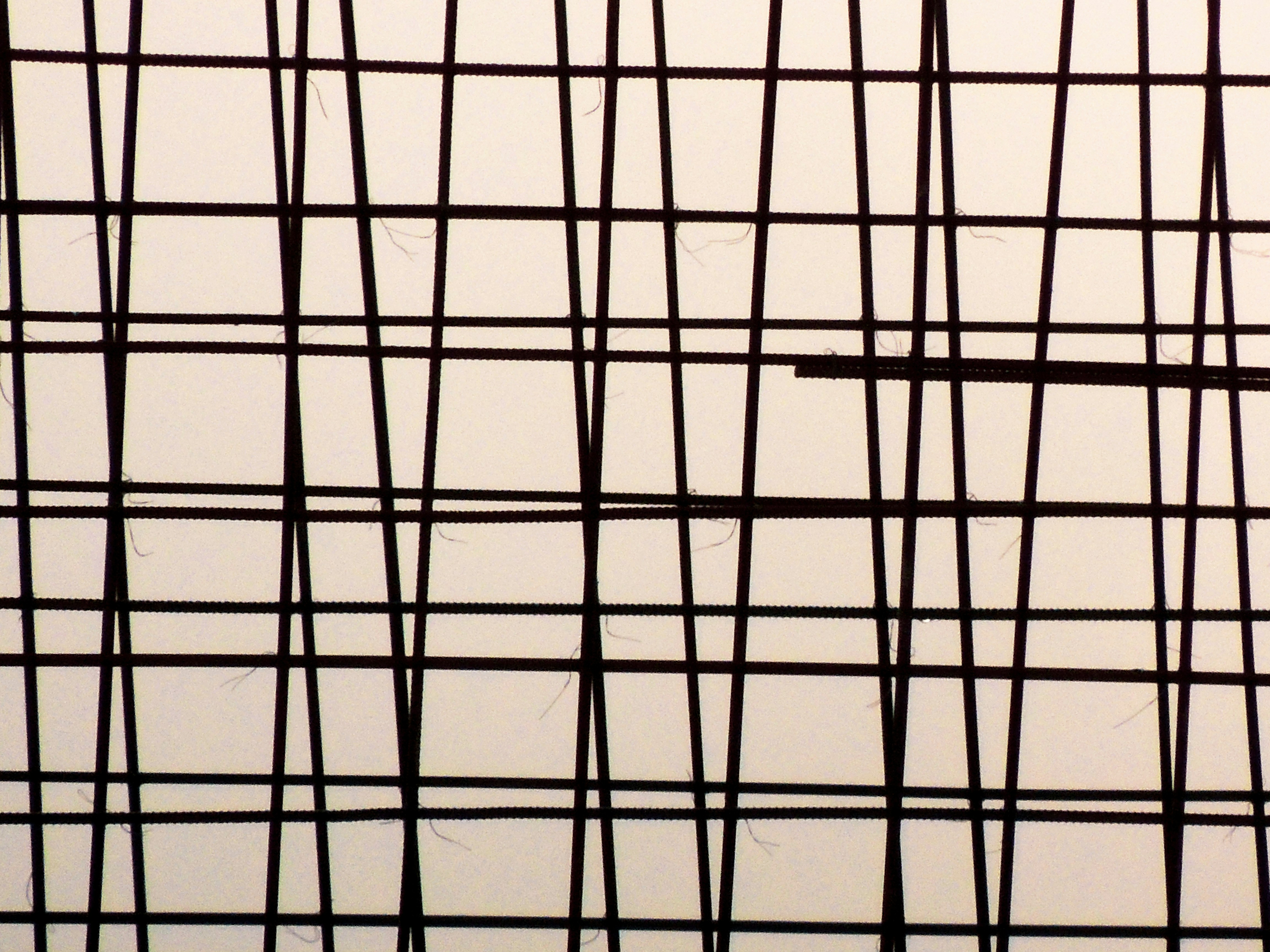 Photo by qurratulayin