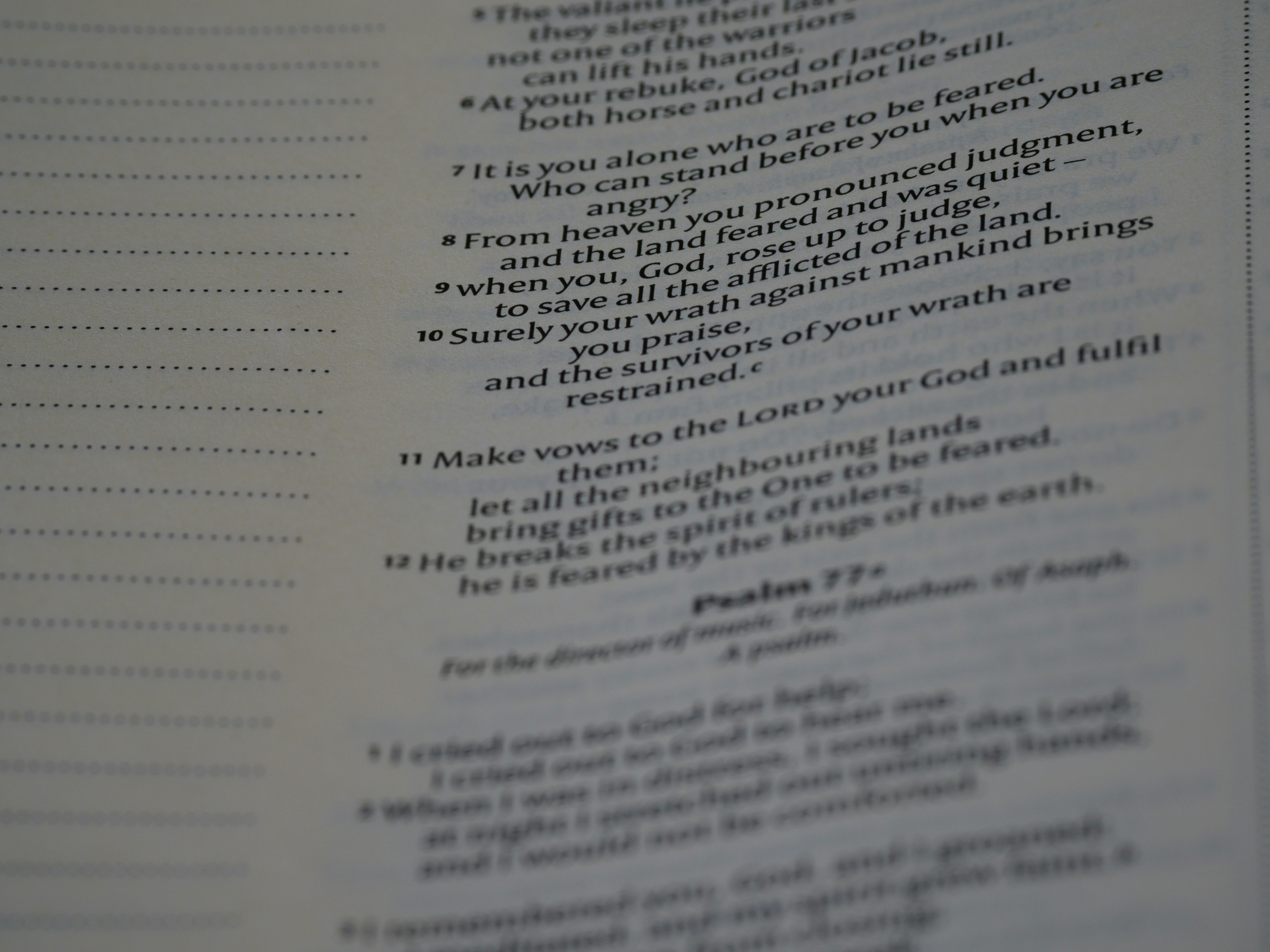 Photo by brett_jordan