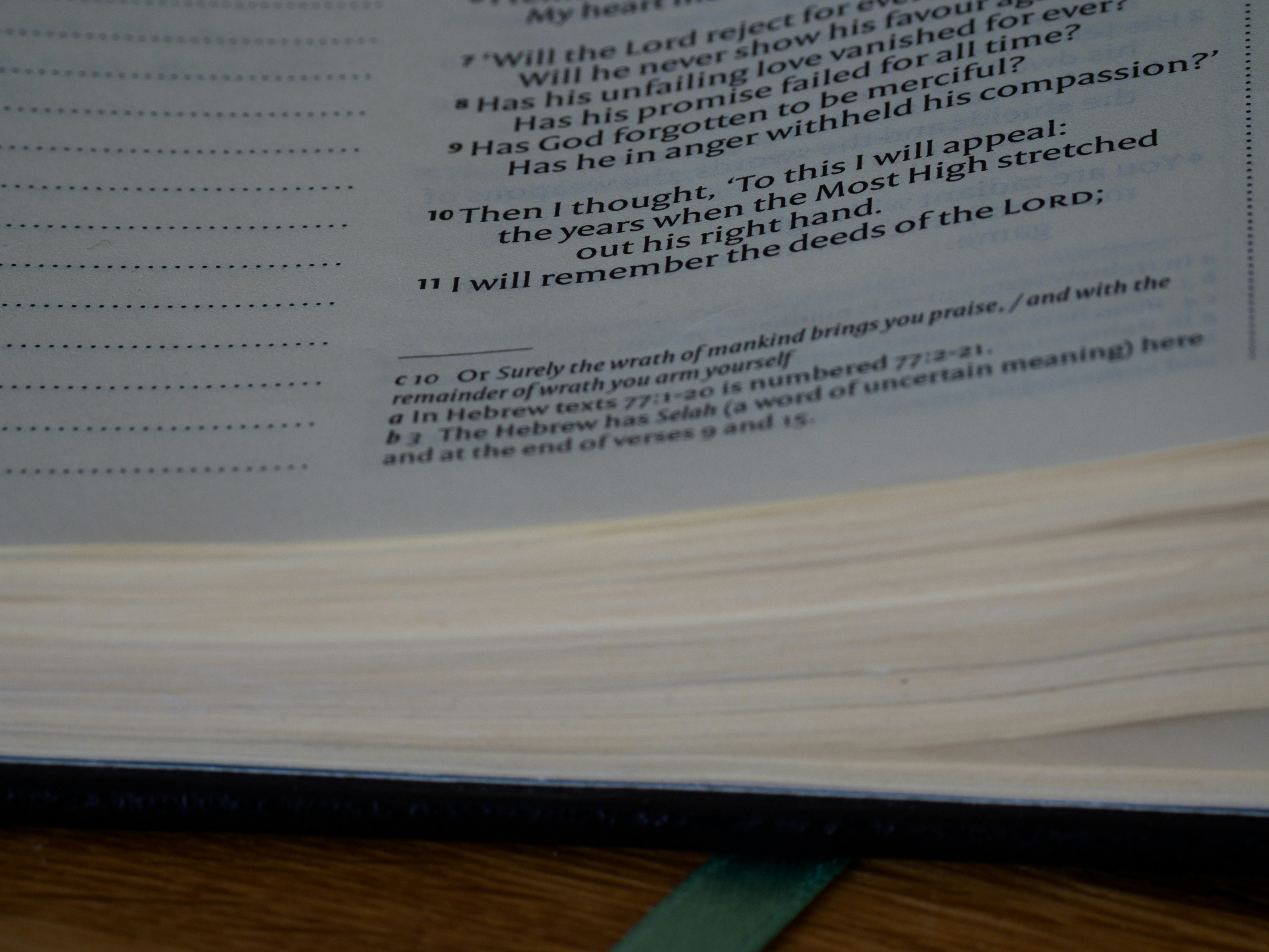 close up, bokeh, macro, blur, blurred background, close focus, bible, old testament, hebrew bible, christian, judaism, history, text, reading, bible study, devotions, text, NIV, New International Version, type, typography, canon, christianity, holy scripture, holy bible, scripture, old testament, hebrew bible, תְּהִלִּים, psalms, psalter, ketuvim, writings, tanakh, king david, <br />