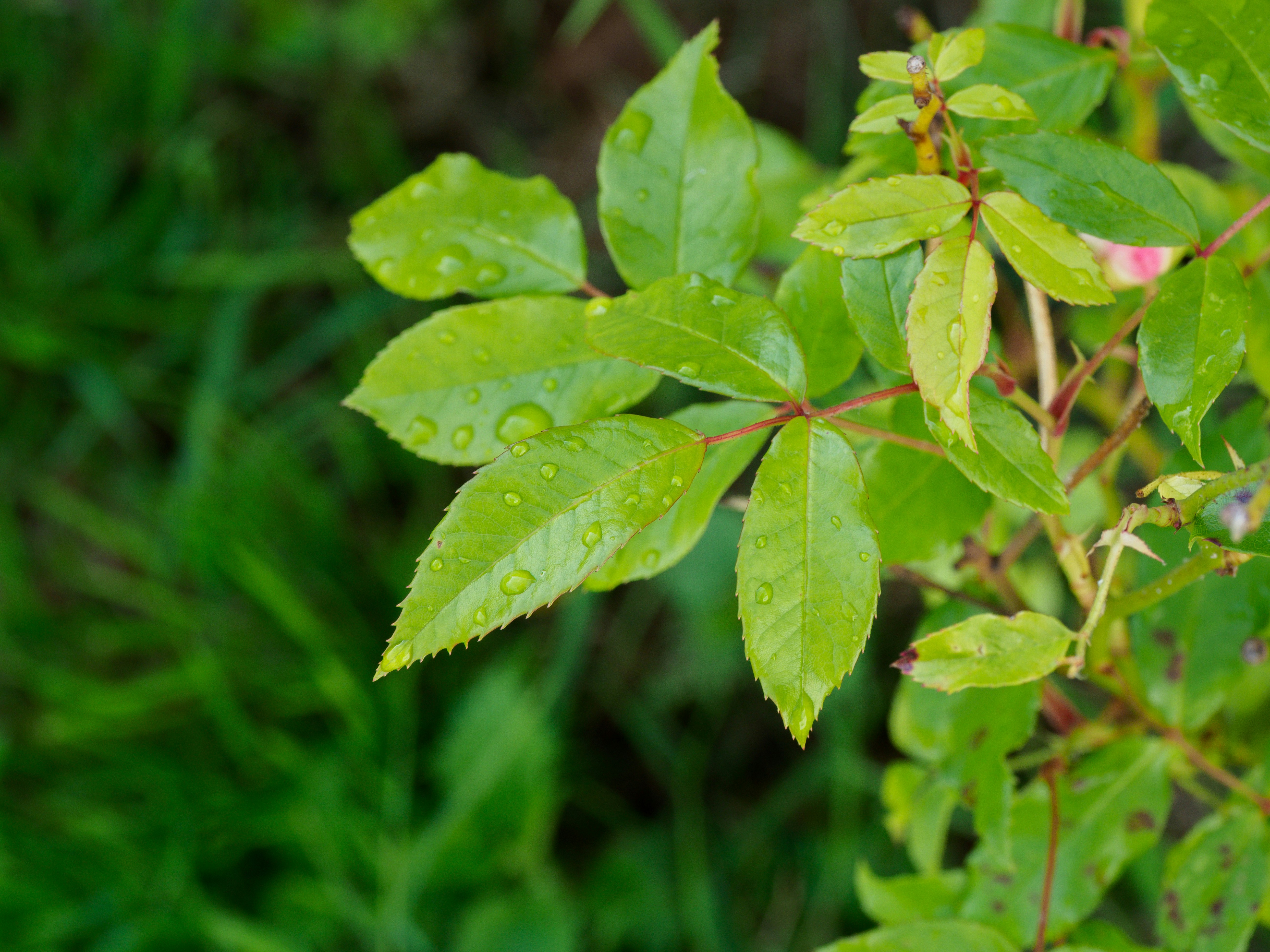 Photo by brett_jordan