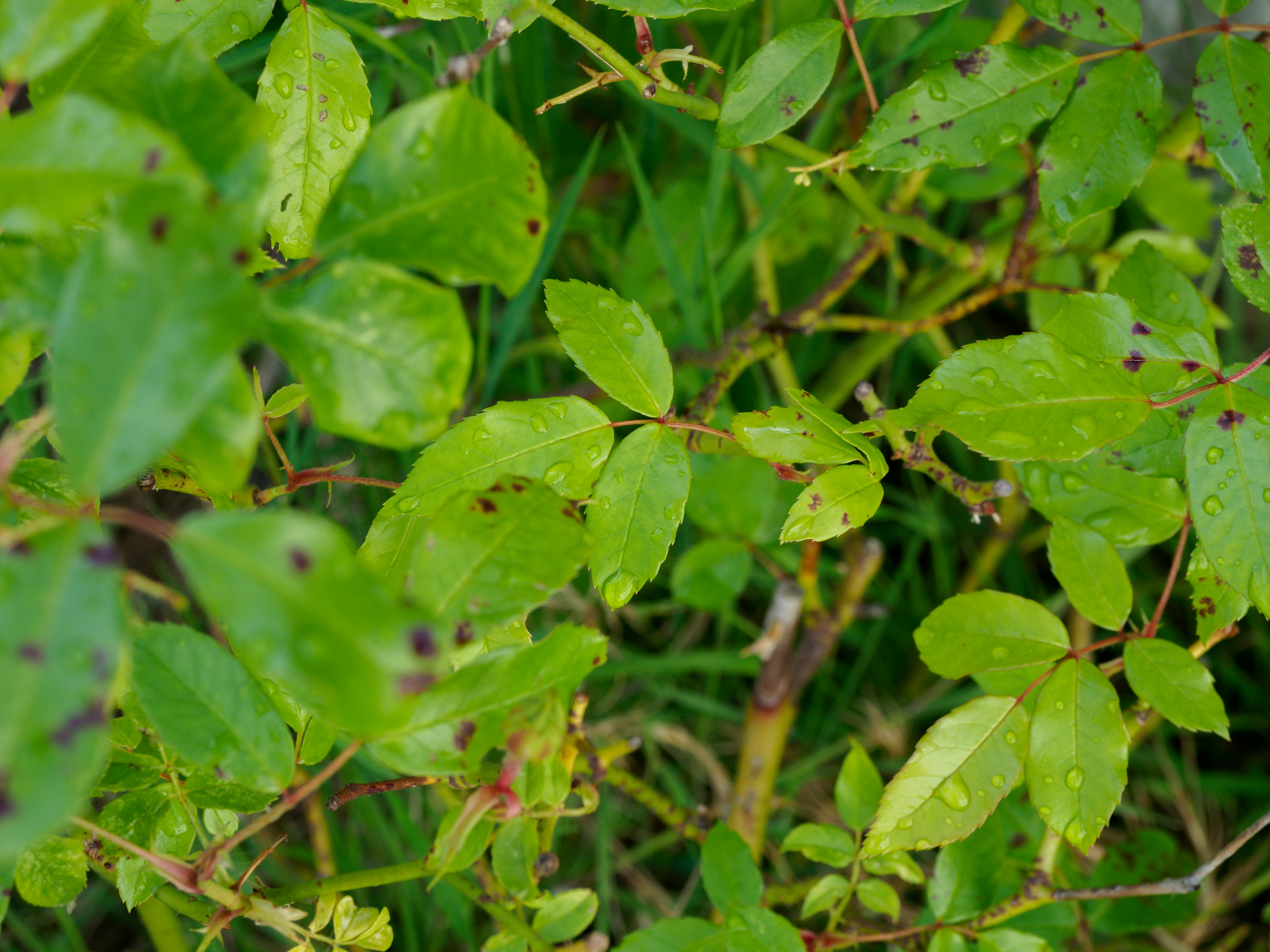 Photo by brett_jordan