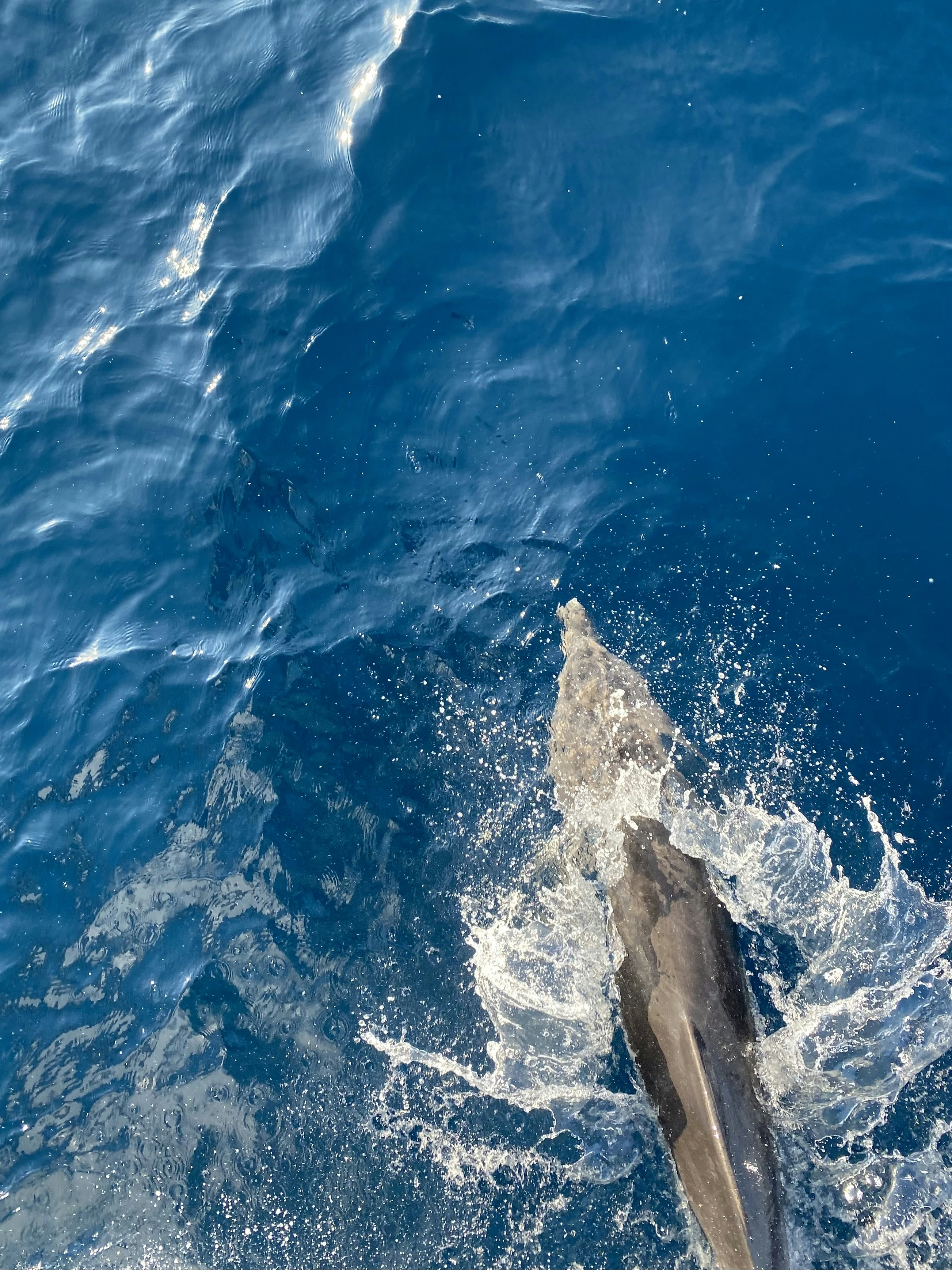 Photo by kristinaloburets