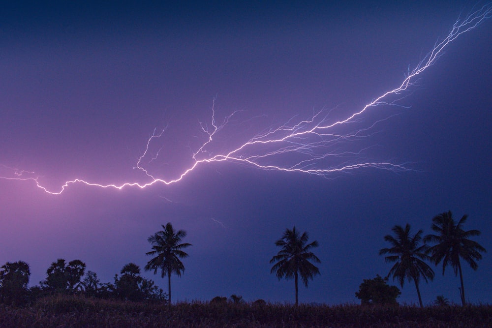 a purple sky with lightning and palm trees