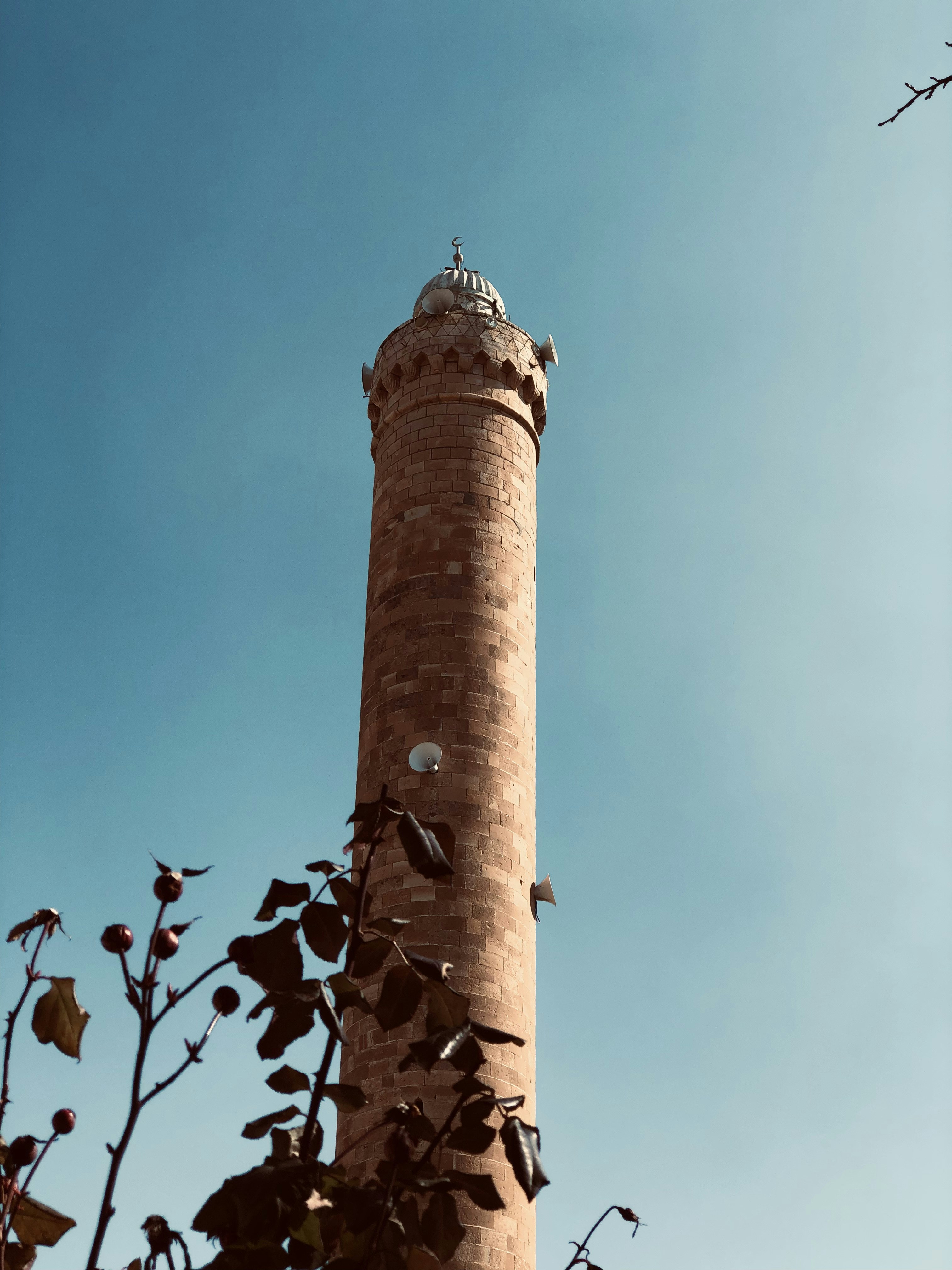 Photo by adamking196