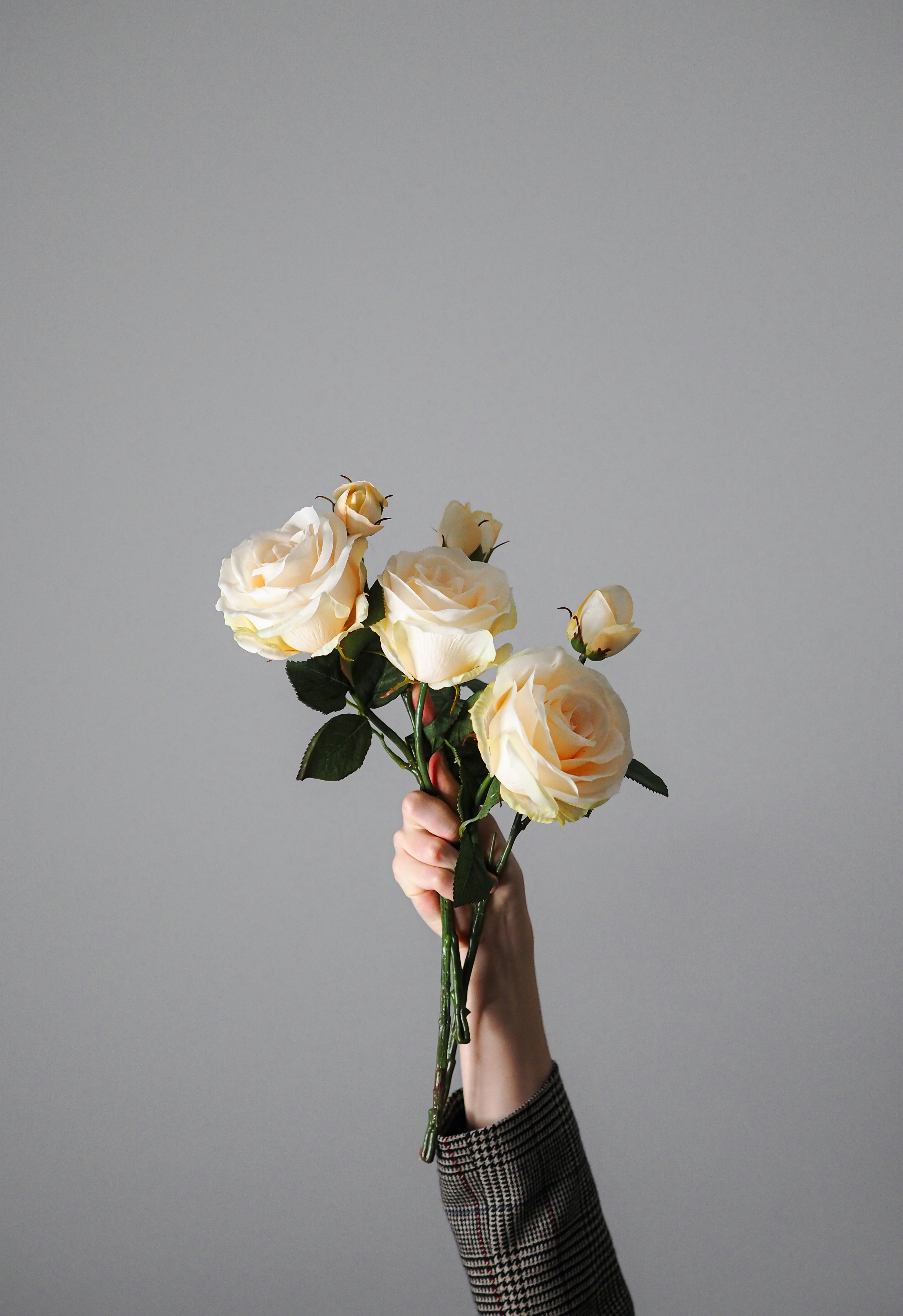 Photo by laurachouette