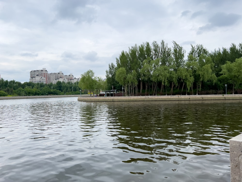 a body of water with trees and buildings in the background