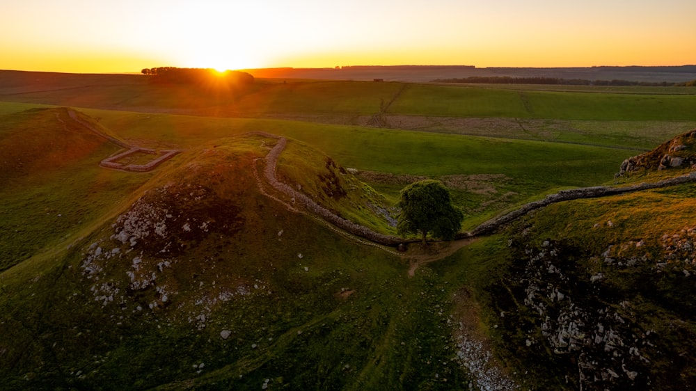 Die Sonne geht über einer grünen Wiese unter