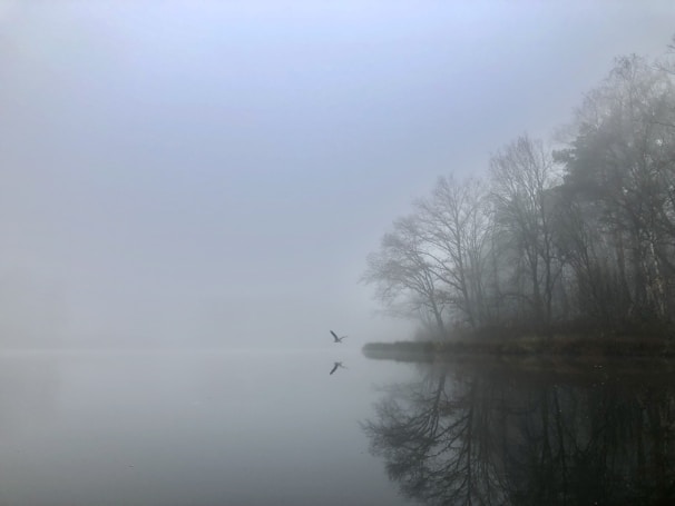 A tranquil mountain lake at dawn, with mist rising and a solitary raven perched on a nearby branch.