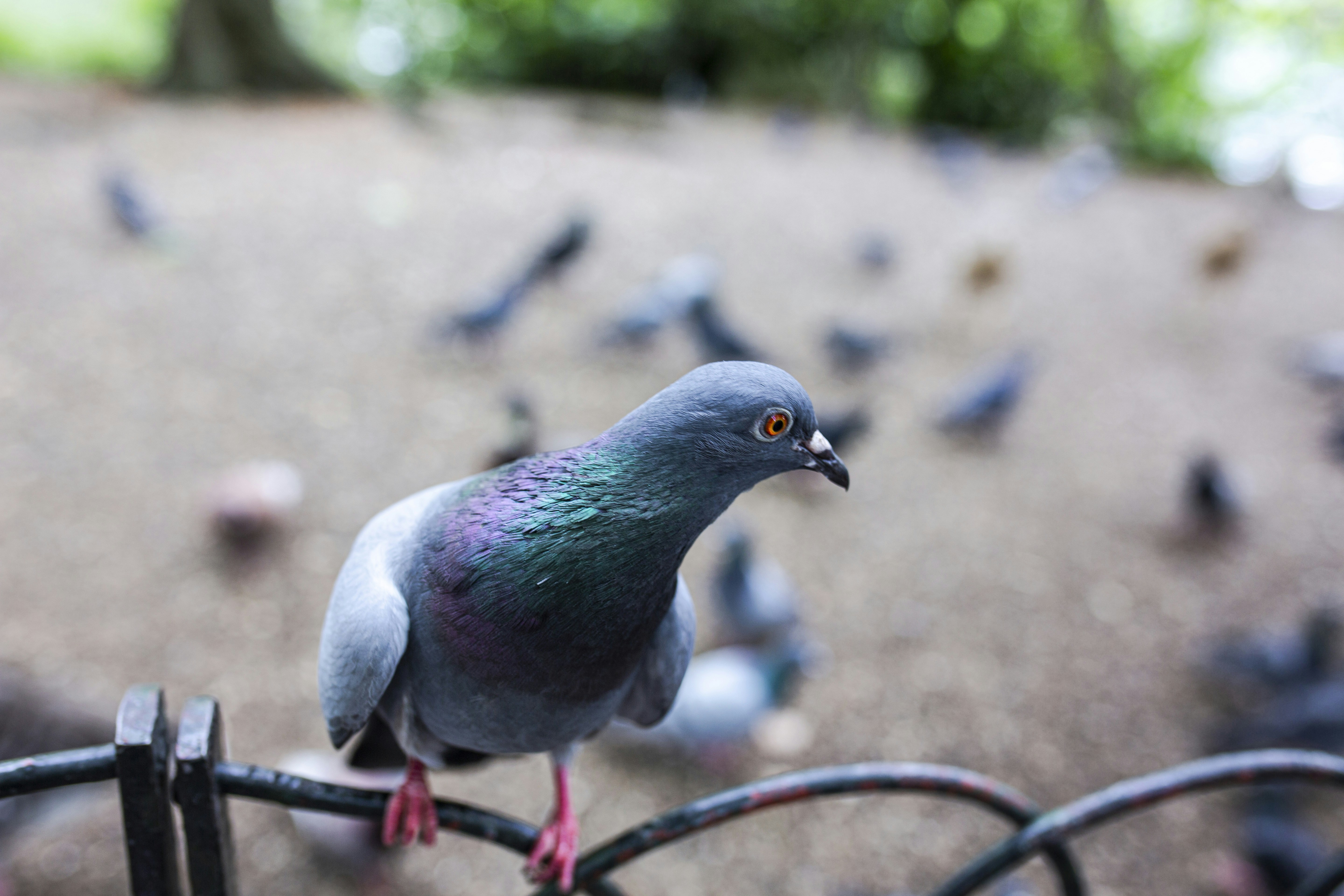 Photo by threepetalsimagery