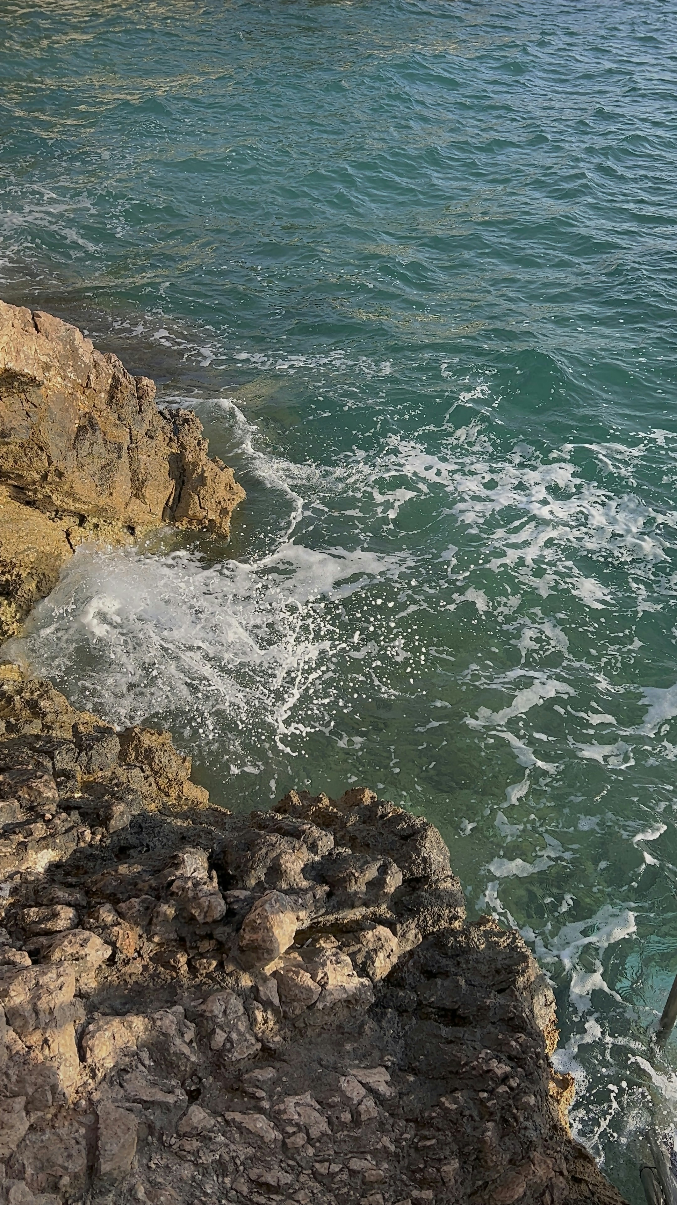 Photo by kategorskaya