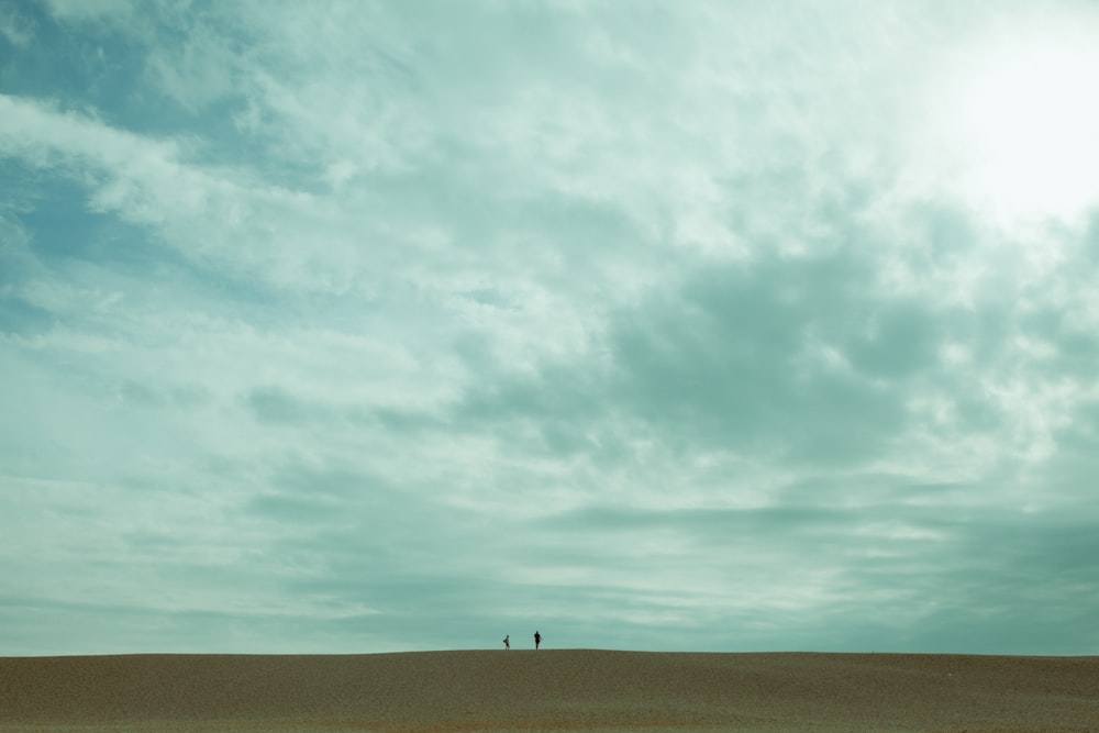 a couple of people standing on top of a sandy beach